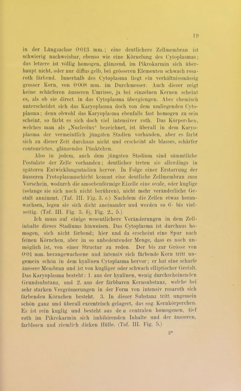 schwierig nachweisbar, ebenso wie eine Körnelung des Cytoplasmas; das letzere ist völlig homogen, glänzend, im Pikrokarmin sich über- haupt nicht, oder nur diffus gelb, bei grösseren Elementen schwach rosa- roth färbend. Innerhalb des Cytoplasma liegt ein verhältnissmässig grosser Kern, von 0*008 mm. im Durchmesser. Auch dieser zeigt keine schärferen äusseren Umrisse, ja bei einzelnen Kernen scheint es, als oh sie direct in das Cytoplasma tibergiengen. Aber chemisch unterscheidet sich das Karyoplasma doch von dem umliegenden Cyto- plasma; denn obwohl das Karyoplasma ebenfalls fast homogen zu sein scheint, so färbt es sich doch viel intensiver roth. Das Körperchen, welches man als „Nucleolus“ bezeichnet, ist überall in dem Karyo- plasma der vermeintlich jüngsten Stadien vorhanden, aber es färbt sich zu dieser Zeit durchaus nicht und erscheint als blasses, schärfer contourirtes, glänzendes Pünktchen. Also in jedem, auch dem jüngsten Stadium sind sämmtüche Postulate der Zelle vorhanden; deutlicher treten sie allerdings in späteren Entwicklungsstadien hervor. In Folge einer Erstarrung der äusseren Protoplasmaschicht kommt eine deutliche Zellmembran zum Vorschein, wodurch die ainoebenförmige Eizelle eine ovale, oder kuglige (solange sie sich noch nicht berühren), nicht mehr veränderliche Ge- stalt annimmt. (Taf. III. Eig. 3. c.) Nachdem die Zellen etwas heran- wachsen, legen sie sich dicht aneinander und werden so 6- bis viel- seitig. (Taf. III. Fig. 3. b), Eig. 2., 5.) Ich muss auf einige wesentlichere Veränderungen in dem Zell- inhalte dieses Stadiums hinweisen. Das Cytoplasma ist durchaus ho- mogen, sich nicht färbend; hier und da erscheint eine Spur nach feinen Körnchen, aber in so unbedeutender Menge, dass es noch un- möglich ist, von einer Structur zu reden. Der bis zur Grösse von 0*01 mm. herangewachsene und intensiv sich färbende Kern tritt un- gemein schön in dem hyalinen Cytoplasma hervor; er hat eine scharfe äussere Membran und ist von kugliger oder schwach elliptischer Gestalt. Das Karyoplasma besteht: 1. aus der hyalinen, wenig durchscheinenden Grundsubstanz, und 2. aus der färbbaren Kernsubstanz, welche bei sehr starken Vergrösserungen in der Form von intensiv rosaroth sich färbenden Körnchen besteht. 3. In dieser Substanz tritt ungemein schön ganz und überall excentrisch gelagert, das sog. Kernkörperchen. Es ist rein kuglig und besteht aus de n centralen homogenen, tief roth im Pikrokarmin sich imbibirenden Inhalte und der äusseren, farblosen und ziemlich dicken Hülle. (Taf. III. Fig. 5.) 2*