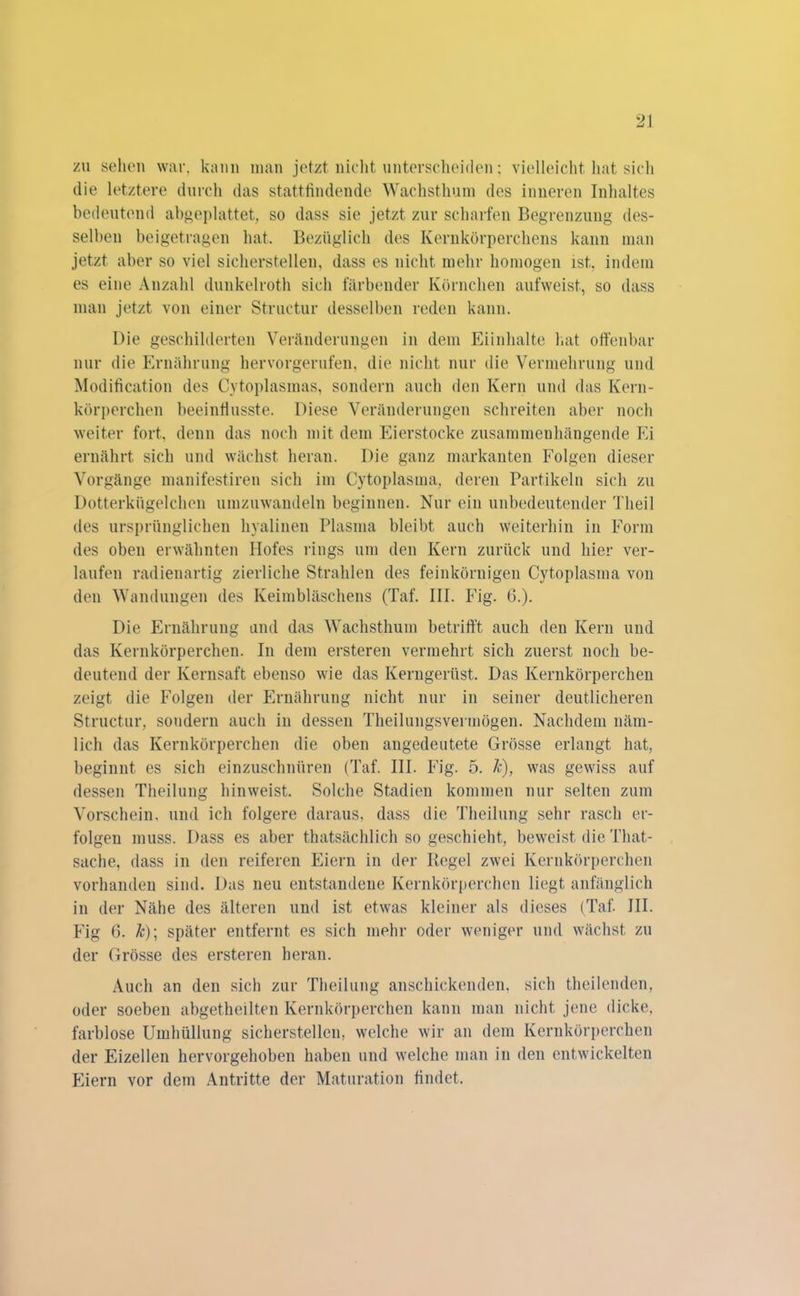 zu sehen war, kann man jetzt nicht unterscheiden; vielleicht hat sich die letztere durch das stattfindende Wachsthum des inneren Inhaltes bedeutend abgeplattet, so dass sie jetzt zur scharfen Begrenzung des- selben beigetragen hat. Bezüglich des Kernkörperchens kann man jetzt aber so viel sicherstellen, dass es nicht mehr homogen ist., indem es eine Anzahl dunkelroth sich färbender Körnchen aufweist, so dass man jetzt von einer Structur desselben reden kann. Die geschilderten Veränderungen in dem Eiinhalte hat offenbar nur die Ernährung hervorgerufen, die nicht nur die Vermehrung und Modification des Cytoplasmas, sondern auch den Kern und das Kern- körperchen beeinflusste. Diese Veränderungen schreiten aber noch weiter fort, denn das noch mit dem Eierstocke zusammenhängende Ei ernährt sich und wächst heran. Die ganz markanten Folgen dieser Vorgänge manifestiren sich im Cytoplasma, deren Partikeln sich zu Dotterkügelchen umzuwandeln beginnen. Nur ein unbedeutender Theil des ursprünglichen hyalinen Plasma bleibt auch weiterhin in Form des oben erwähnten Hofes rings um den Kern zurück und hier ver- laufen radienartig zierliche Strahlen des feinkörnigen Cytoplasma von den Wandungen des Keimbläschens (Taf. III. Fig. 6.). Die Ernährung and das Wachsthum betrifft auch den Kern und das Kernkörperchen. In dem ersteren vermehrt sich zuerst noch be- deutend der Kernsaft ebenso wie das Kerngerüst. Das Kernkörperchen zeigt die Folgen der Ernährung nicht nur in seiner deutlicheren Structur, sondern auch in dessen Theilungsvermögen. Nachdem näm- lich das Kernkörperchen die oben angedeutete Grösse erlangt hat, beginnt es sich einzuschnüren (Taf. III. Fig. 5. 7c), was gewiss auf dessen Theilung hinweist. Solche Stadien kommen nur selten zum Vorschein, und ich folgere daraus, dass die Theilung sehr rasch er- folgen muss. Dass es aber thatsächlich so geschieht, beweist die That- sache, dass in den reiferen Eiern in der Regel zwei Kernkörperchen vorhanden sind. Das neu entstandene Kernkörperchen liegt anfänglich in der Nähe des älteren und ist etwas kleiner als dieses (Taf. III. Fig 6. 7c); später entfernt es sich mehr oder weniger und wächst zu der Grösse des ersteren heran. Auch an den sich zur Theilung anschickenden, sich theilenden, oder soeben abgetheilten Kernkörperchen kann man nicht jene dicke, farblose Umhüllung sicherstellen, welche wir an dem Kernkörperchen der Eizellen hervorgehoben haben und welche man in den entwickelten Eiern vor dem Antritte der Maturation findet.