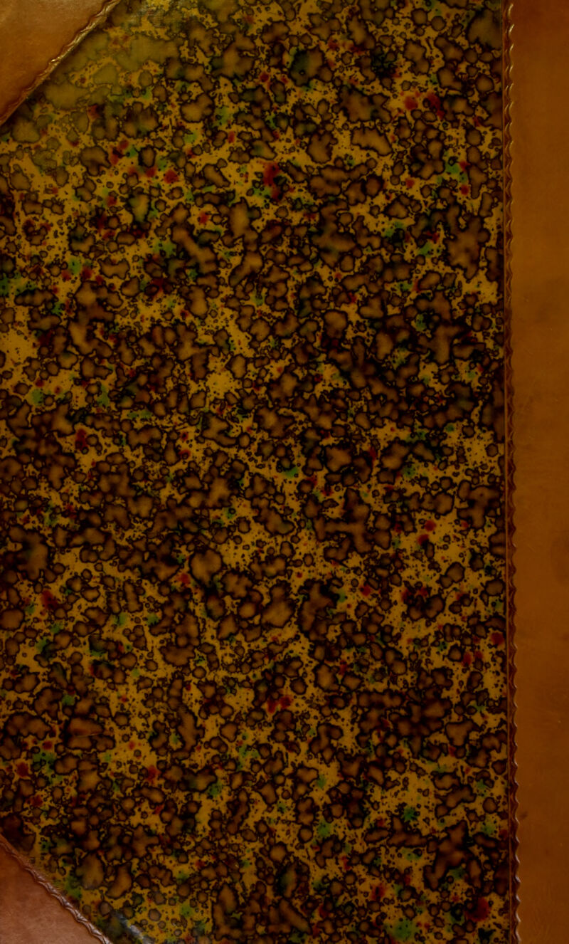 No text description is available for this image