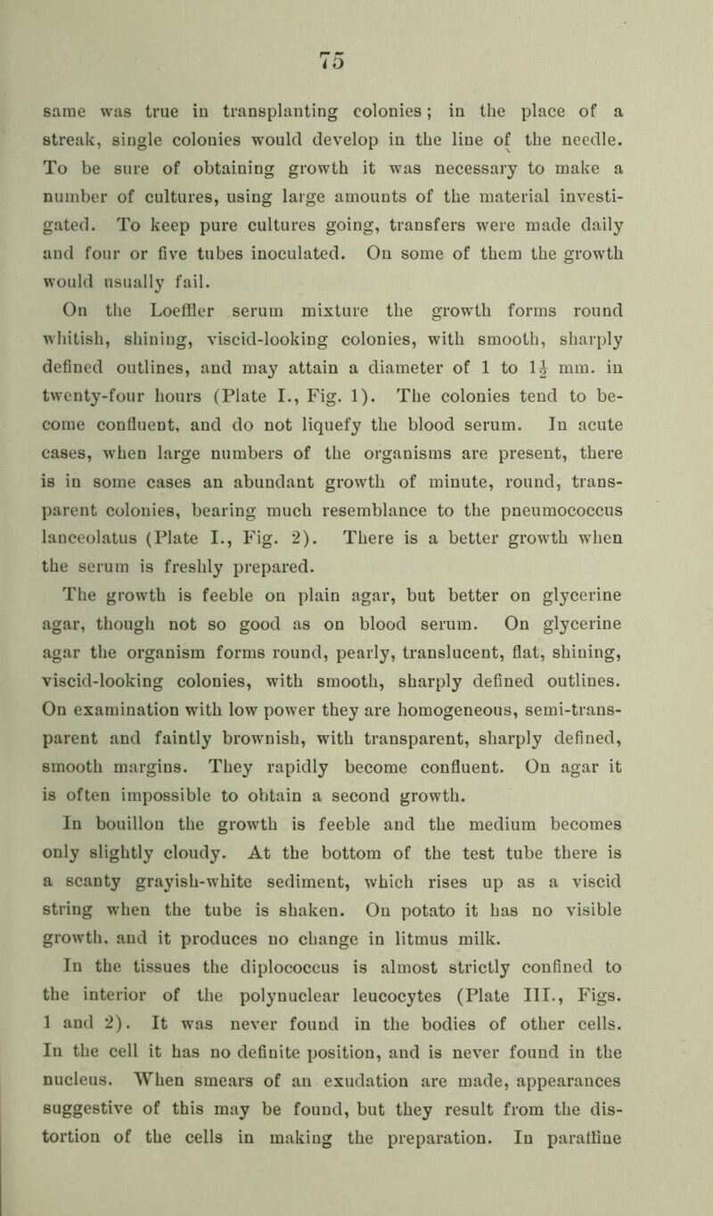 same was true in transplanting colonies; in the place of a streak, single colonies would develop in the line of the needle. To be sure of obtaining growth it was necessary to make a number of cultures, using large amounts of the material investi- gated. To keep pure cultures going, transfers were made daily and four or five tubes inoculated. On some of them the growth would usually fail. On the Loeffler serum mixture the growth forms round whitish, shining, viscid-looking colonies, with smooth, sharply defined outlines, and may attain a diameter of 1 to 1J mm. in twenty-four hours (Plate I., Fig. 1). The colonies tend to be- come confluent, and do not liquefy the blood serum. In acute cases, when large numbers of the organisms are present, there is in some cases an abundant growth of minute, round, trans- parent colonies, bearing much resemblance to the pneumococcus lanceolatus (Plate I., Fig. 2). There is a better growth when the serum is freshly prepared. The growth is feeble on plain agar, but better on glycerine agar, though not so good as on blood serum. On glycerine agar the organism forms round, pearly, translucent, flat, shining, viscid-looking colonies, with smooth, sharply defined outlines. On examination with low power they are homogeneous, semi-trans- parent and faintly brownish, with transparent, sharply defined, smooth margins. They rapidly become confluent. On agar it is often impossible to obtain a second growth. In bouillon the growth is feeble and the medium becomes only slightly cloudy. At the bottom of the test tube there is a scanty grayish-white sediment, which rises up as a viscid string when the tube is shaken. On potato it has no visible growth, and it produces no change in litmus milk. In the tissues the diplococcus is almost strictly confined to the interior of the polynuclear leucocytes (Plate III., Figs. 1 and 2). It was never found in the bodies of other cells. In the cell it has no definite position, and is never found in the nucleus. When smears of an exudation are made, appearances suggestive of this may be found, but they result from the dis- tortion of the cells in making the preparation. In paraffine