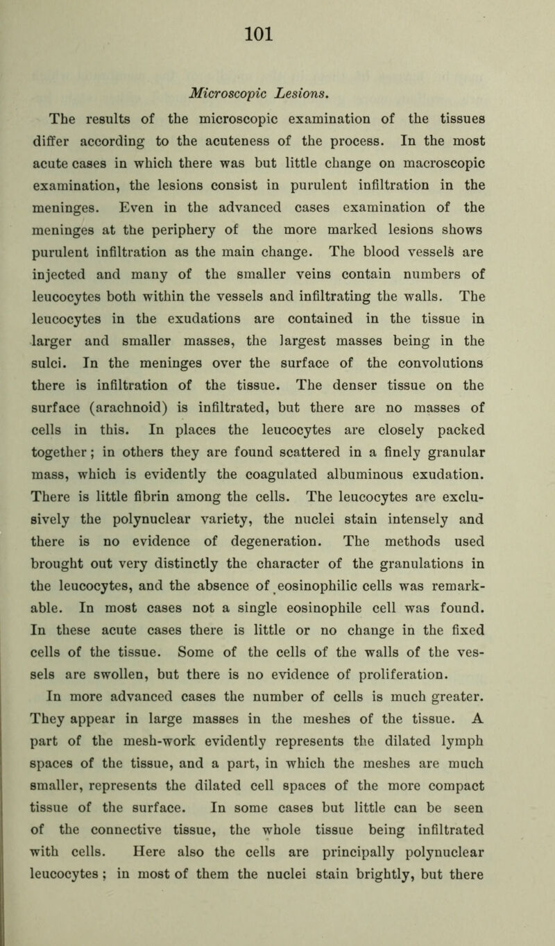 Microscopic Lesions. The results of the microscopic examination of the tissues differ according to the acuteness of the process. In the most acute cases in which there was but little change on macroscopic examination, the lesions consist in purulent infiltration in the meninges. Even in the advanced cases examination of the meninges at the periphery of the more marked lesions shows purulent infiltration as the main change. The blood vessels are injected and many of the smaller veins contain numbers of leucocytes both within the vessels and infiltrating the walls. The leucocytes in the exudations are contained in the tissue in larger and smaller masses, the largest masses being in the sulci. In the meninges over the surface of the convolutions there is infiltration of the tissue. The denser tissue on the surface (arachnoid) is infiltrated, but there are no masses of cells in this. In places the leucocytes are closely packed together; in others they are found scattered in a finely granular mass, which is evidently the coagulated albuminous exudation. There is little fibrin among the cells. The leucocytes are exclu- sively the polynuclear variety, the nuclei stain intensely and there is no evidence of degeneration. The methods used brought out very distinctly the character of the granulations in the leucocytes, and the absence of eosinophilic cells was remark- able. In most cases not a single eosinophile cell was found. In these acute cases there is little or no change in the fixed cells of the tissue. Some of the cells of the walls of the ves- sels are swollen, but there is no evidence of proliferation. In more advanced cases the number of cells is much greater. They appear in large masses in the meshes of the tissue. A part of the mesh-work evidently represents the dilated lymph spaces of the tissue, and a part, in which the meshes are much smaller, represents the dilated cell spaces of the more compact tissue of the surface. In some cases but little can be seen of the connective tissue, the whole tissue being infiltrated with cells. Here also the cells are principally polynuclear leucocytes; in most of them the nuclei stain brightly, but there