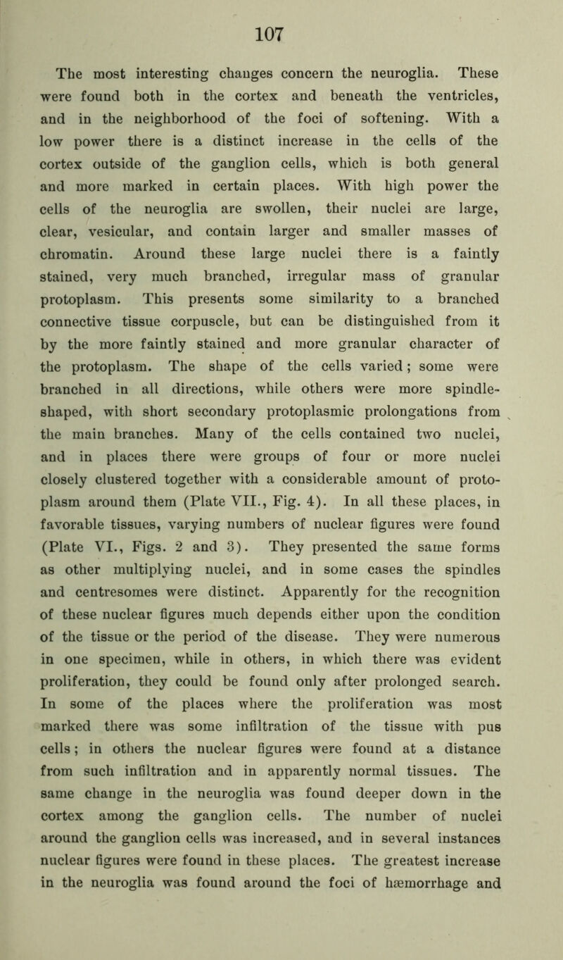 The most interesting changes concern the neuroglia. These were found both in the cortex and beneath the ventricles, and in the neighborhood of the foci of softening. With a low power there is a distinct increase in the cells of the cortex outside of the ganglion cells, which is both general and more marked in certain places. With high power the cells of the neuroglia are swollen, their nuclei are large, clear, vesicular, and contain larger and smaller masses of chromatin. Around these large nuclei there is a faintly stained, very much branched, irregular mass of granular protoplasm. This presents some similarity to a branched connective tissue corpuscle, but can be distinguished from it by the more faintly stained and more granular character of the protoplasm. The shape of the cells varied; some were branched in all directions, while others were more spindle- shaped, with short secondary protoplasmic prolongations from the main branches. Many of the cells contained two nuclei, and in places there were groups of four or more nuclei closely clustered together with a considerable amount of proto- plasm around them (Plate VII., Fig. 4). In all these places, in favorable tissues, varying numbers of nuclear figures were found (Plate VI., Figs. 2 and 3). They presented the same forms as other multiplying nuclei, and in some cases the spindles and centresomes were distinct. Apparently for the recognition of these nuclear figures much depends either upon the condition of the tissue or the period of the disease. They were numerous in one specimen, while in others, in which there was evident proliferation, they could be found only after prolonged search. In some of the places where the proliferation was most marked there was some infiltration of the tissue with pus cells; in others the nuclear figures were found at a distance from such infiltration and in apparently normal tissues. The same change in the neuroglia was found deeper down in the cortex among the ganglion cells. The number of nuclei around the ganglion cells was increased, and in several instances nuclear figures were found in these places. The greatest increase in the neuroglia was found around the foci of haemorrhage and