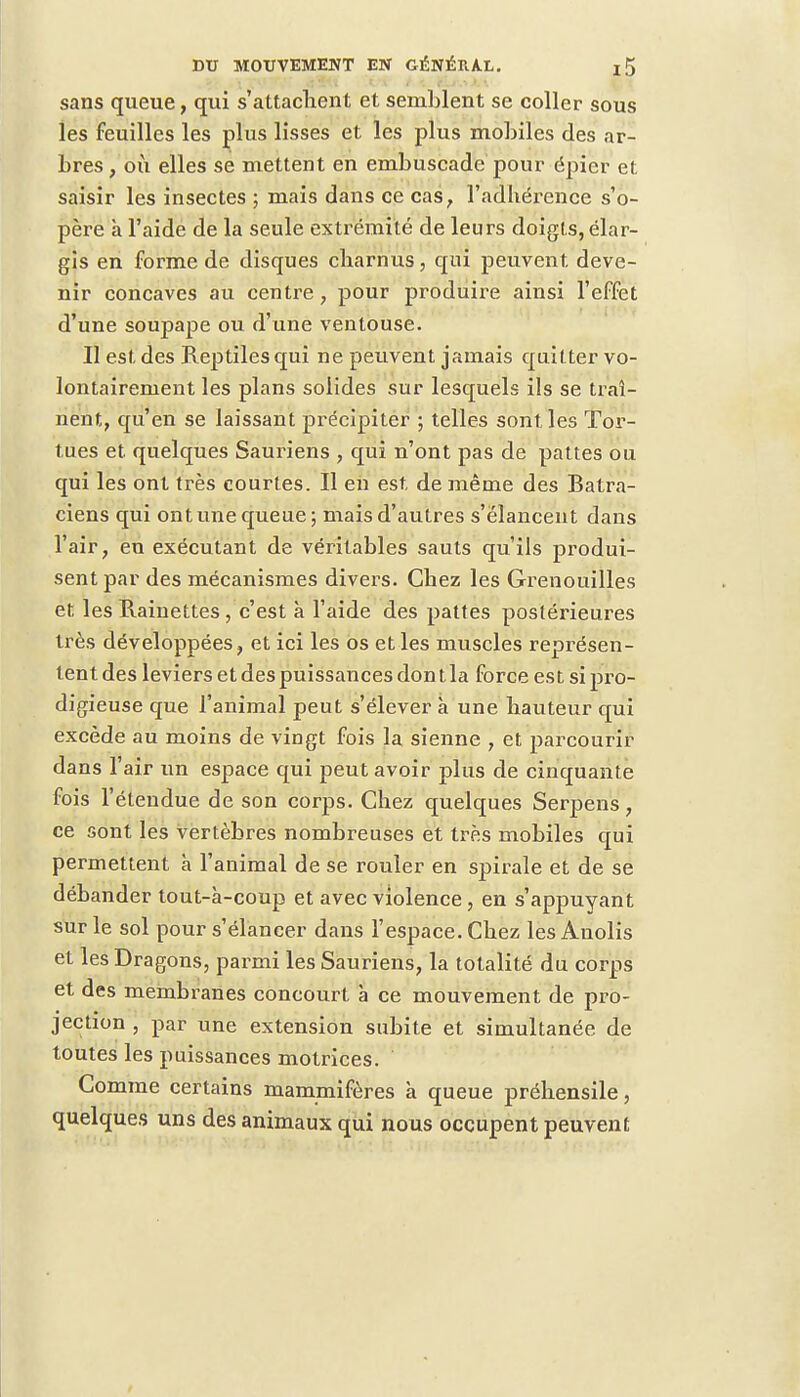 sans queue, qui s'attachent et semblent se coller sous les feuilles les plus lisses et les plus mobiles des ar- bres , où elles se mettent en embuscade pour épier et saisir les insectes ; mais dans ce cas, l'adhérence s'o- père à l'aide de la seule extrémité de leurs doigts, élar- gis en forme de disques charnus, qui peuvent deve- nir concaves au centre, pour produire ainsi l'effet d'une soupape ou d'une ventouse. Il est des Reptiles qui ne peuvent jamais quitter vo- lontairement les plans solides sur lesquels ils se traî- nent, qu'en se laissant précipiter ; telles sont les Tor- tues et quelques Sauriens , qui n'ont pas de pattes ou qui les ont très courtes. Il en est de même des Batra- ciens qui ont une queue; mais d'autres s'élancent dans l'air, eu exécutant de véritables sauts qu'ils produi- sent par des mécanismes divers. Chez les Grenouilles et les Rainettes , c'est à l'aide des pattes postérieures très développées, et ici les os et les muscles représen- tent des leviers et des puissances don t la force est si pro- digieuse que l'animal peut s'élever à une hauteur qui excède au moins de vingt fois la sienne , et parcourir dans l'air un espace qui peut avoir plus de cinquante fois l'étendue de son corps. Chez quelques Serpens, ce sont les vertèbres nombreuses et très mobiles qui permettent à l'animal de se rouler en spirale et de se débander tout-à-coup et avec violence , en s'appuyant sur le sol pour s'élancer dans l'espace. Chez les Anolis et les Dragons, parmi les Sauriens, la totalité du corps et des membranes concourt à ce mouvement de pro- jection , par une extension subite et simultanée de toutes les puissances motrices. Comme certains mammifères à queue préhensile, quelques uns des animaux qui nous occupent peuvent