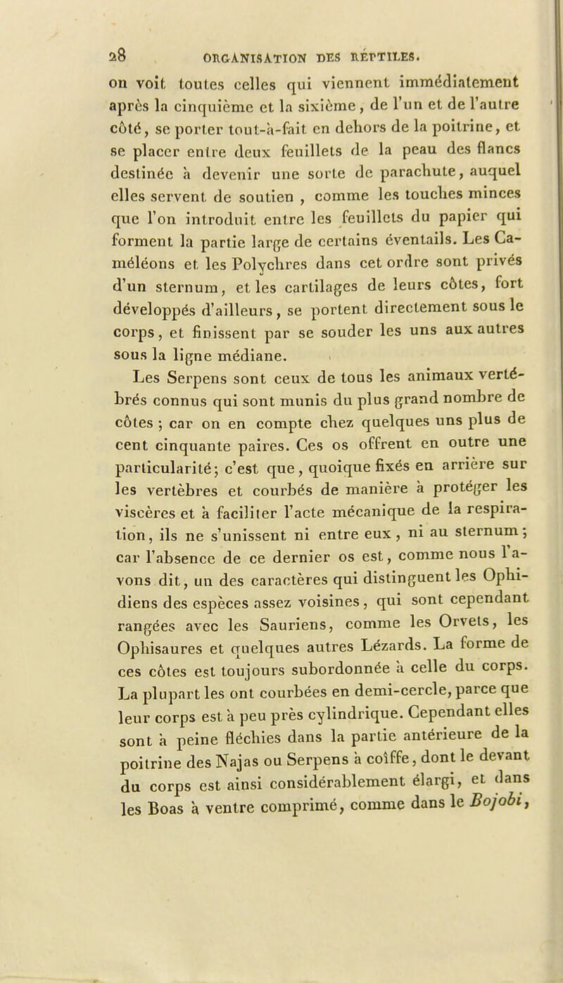 on voit toutes celles qui viennent immédiatement après la cinquième et la sixième, de l'un et de l'autre côté, se porter tout-à-fait en dehors de la poitrine, et se placer entre deux feuillets de la peau des flancs destinée à devenir une sorte de parachute, auquel elles servent de soutien , comme les touches minces que l'on introduit entre les feuillets du papier qui forment la partie large de certains éventails. Les Ca- méléons et les Polychres dans cet ordre sont privés d'un sternum, et les cartilages de leurs côtes, fort développés d'ailleurs, se portent directement sous le corps, et finissent par se souder les uns aux autres sous la ligne médiane. Les Serpens sont ceux de tous les animaux verté- brés connus qui sont munis du plus grand nombre de côtes ; car on en compte chez quelques uns plus de cent cinquante paires. Ces os offrent en outre une particularité; c'est que, quoique fixés en arrière sur les vertèbres et courbés de manière à protéger les viscères et à faciliter l'acte mécanique de la respira- tion , ils ne s'unissent ni entre eux, ni au sternum ; car l'absence de ce dernier os est, comme nous 1 a- vons dit, un des caractères qui distinguent les Ophi- diens des espèces assez voisines, qui sont cependant rangées avec les Sauriens, comme les Orvets, les Ophisaures et quelques autres Lézards. La forme de ces côtes est toujours subordonnée a celle du corps. La plupart les ont courbées en demi-cercle, parce que leur corps est à peu près cylindrique. Cependant elles sont a peine fléchies dans la partie antérieure de la poitrine des Najas ou Serpens a coiffe, dont le devant du corps est ainsi considérablement élargi, et dans les Boas à ventre comprimé, comme dans le Bojobi,