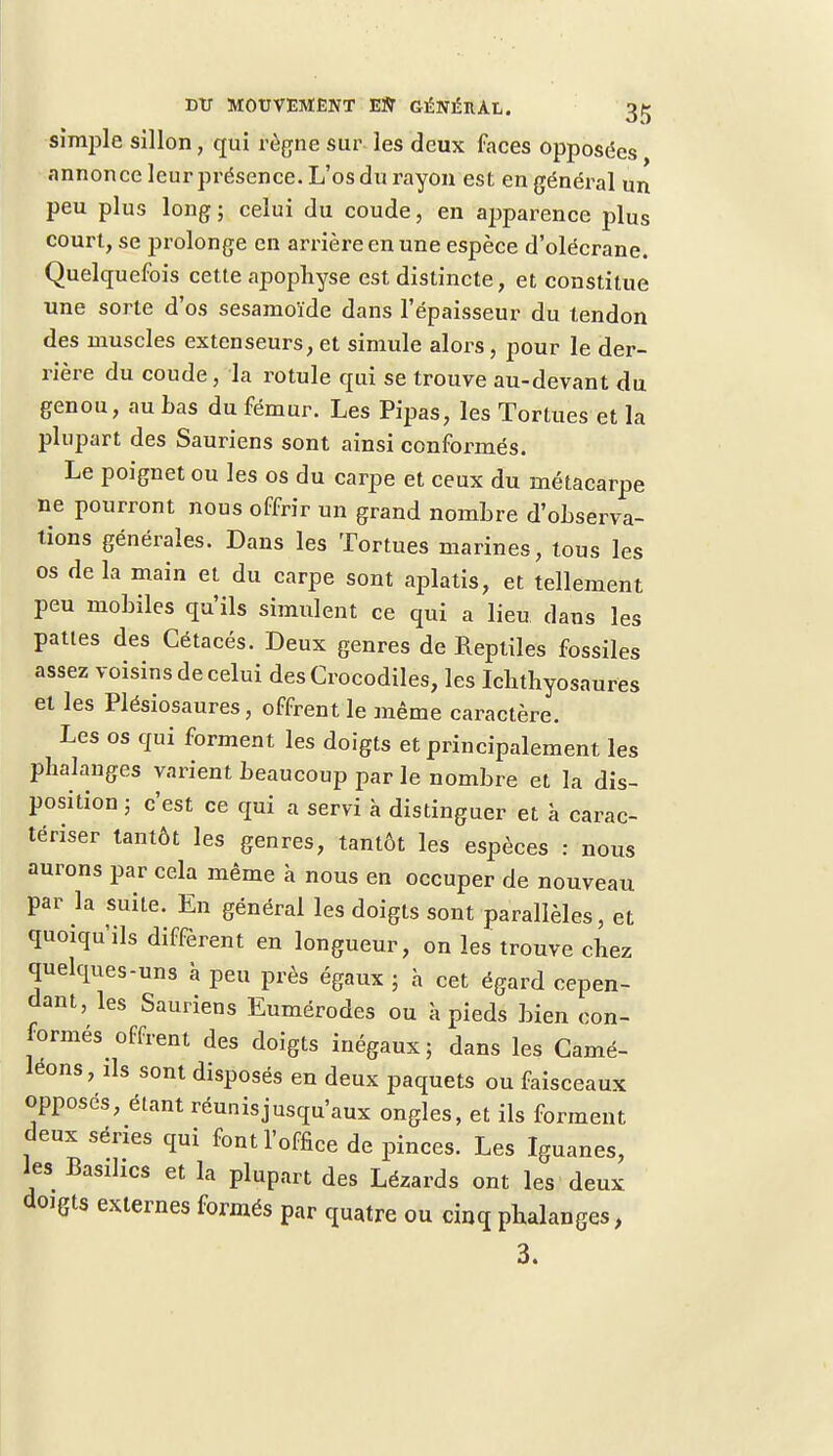 simple sillon, qui règne sur les deux faces opposées annonce leur présence. L'os du rayon est en général un peu plus long ; celui du coude, en apparence plus court, se prolonge en arrière en une espèce d'olécrane. Quelquefois cette apophyse est distincte, et constitue une sorte d'os sesamoïde dans l'épaisseur du tendon des muscles extenseurs, et simule alors, pour le der- rière du coude, la rotule qui se trouve au-devant du genou, au bas du fémur. Les Pipas, les Tortues et la plupart des Sauriens sont ainsi conformés. Le poignet ou les os du carpe et ceux du métacarpe ne pourront nous offrir un grand nombre d'observa- tions générales. Dans les Tortues marines, tous les os de la main et du carpe sont aplatis, et tellement peu mobiles qu'ils simulent ce qui a lieu dans les pattes des Cétacés. Deux genres de Reptiles fossiles assez voisins de celui des Crocodiles, les Ichthyosaures et les Plésiosaures, offrent le même caractère. Les os qui forment les doigts et principalement les phalanges varient beaucoup par le nombre et la dis- position ; c'est ce qui a servi à distinguer et à carac- tériser tantôt les genres, tantôt les espèces : nous aurons par cela même à nous en occuper de nouveau par la suite. En général les doigts sont parallèles, et quoiqu'ils diffèrent en longueur, on les trouve chez quelques-uns à peu près égaux ; à cet égard cepen- dant, les Sauriens Eumérodes ou à pieds bien con- formés^ offrent des doigts inégaux; dans les Camé- léons, ils sont disposés en deux paquets ou faisceaux opposés, étant réunis jusqu'aux ongles, et ils forment deux séries qui font l'office de pinces. Les Iguanes, les Basilics et la plupart des Lézards ont les deux doigts externes formés par quatre ou cinq phalanges, 3.