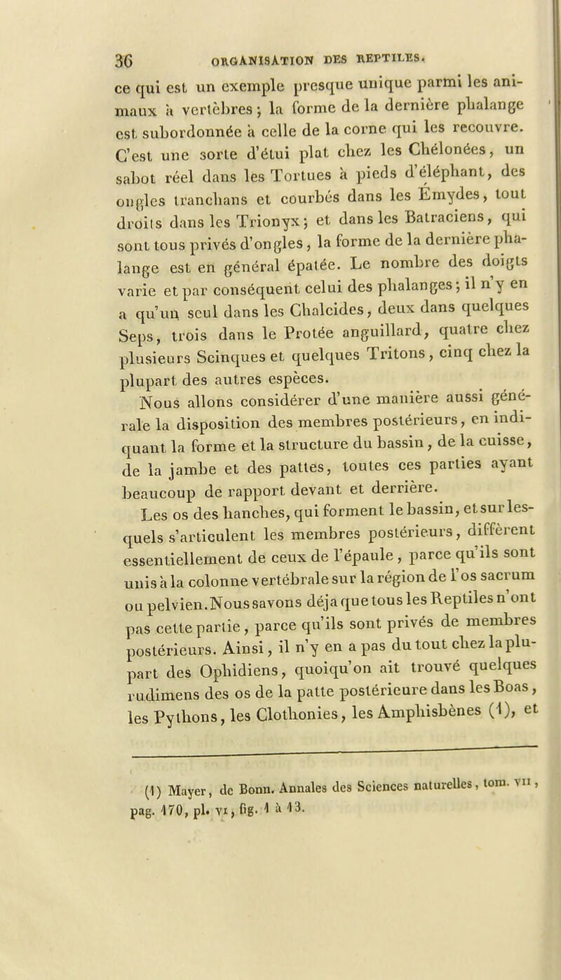 ce qui est un exemple presque unique parmi les ani- maux a vertèbres ; la forme de la dernière phalange est subordonnée a celle de la corne qui les recouvre. C'est une sorte d'étui plat chez les Chélonées, un sabot réel dans les Tortues a pieds d'éléphant, des ongles tranchans et courbes dans les Émydes, tout dmils dans les Trionyx ; et dans les Batraciens, qui sont tous privés d'ongles, la forme de la dernière pha- lange est en général épatée. Le nombre des doigts varie et par conséquent celui des phalanges ; il n'y en a qu'un seul dans les Chalcides, deux dans quelques Seps, trois dans le Protée anguillard, quatre chez plusieurs Scinques et quelques Tritons, cinq chez la plupart des autres espèces. Nous allons considérer d'une manière aussi géné- rale la disposition des membres postérieurs, en indi- quant la forme et la structure du bassin, de la cuisse, de la jambe et des pattes, toutes ces parties ayant beaucoup de rapport devant et derrière. Les os des hanches, qui forment le bassin, etsur les- quels s'articulent les membres postérieurs, diffèrent essentiellement de ceux de l'épaule, parce qu'ils sont unis à la colonne vertébrale sur la région de l'os sacrum ou pelvien.Noussavons déjà que tous les Reptiles n'ont pas cette partie, parce qu'ils sont privés de membres postérieurs. Ainsi, il n'y en a pas du tout chez la plu- part des Ophidiens, quoiqu'on ait trouvé quelques rudimens des os de la patte postérieure dans les Boas, les Pythons, les Clothonies, les Amphisbènes (1), et (1) Mayer, de Bonn. Annales des Sciences naturelles, tom. vu, pag. 470, pl. vi,fig. là**