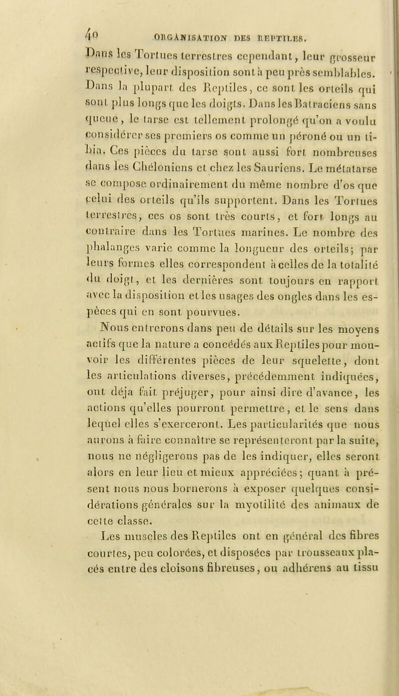 4° OHGÀMJSA.TION Ï1ES nr.l'TILES. Bans les Tortues terrcslres cependant, leur grosseur respective, leur disposition sont à peu près semblables. Dans la plupart des Reptiles, ce sont les orteils qui sont plus longs que les doigts. Dans les Batraciens sans queue , le tarse est tellement prolongé qu'on a voulu considérer ses premiers os comme tin péroné ou un ti- bia. Ces pièces du tarse sont aussi fort nombreuses dans les Chélonions et chez les Sauriens. Le métatarse se compose ordinairement du même nombre d'os que celui des orteils qu'ils supportent. Dans les Torlues terrestres, ces os sont très courts, et fort longs au contraire dans les Tortues marines. Le nombre des phalanges varie comme la longueur des orteils; par leurs formes elles correspondent h celles de la totalité du doigt, et les dernières sont toujours en rapport avec la disposilion et les usages des ongles dans les es- pèces qui en sont pourvues. Nous entrerons dans peu de détails sur les moyens actifs que la nature a concédés aux Reptiles pour mou- voir les différentes pièces de leur squelette, dont les articulations diverses, précédemment indiquées, ont déjà fait préjuger, pour ainsi dire d'avance, les actions qu'elles pourront permettre, et le sens dans lequel elles s'exerceront. Les particularités que nous aurons à faire connaître se représenteront par la suite, nous ne négligerons pas de les indiquer, elles seront alors en leur lieu et mieux appréciées; quant à pré- sent nous nous bornerons a exposer quelques consi- dérations générales sur la myolililé des animaux de celte classe. Les muscles des .Reptiles ont en gênerai des fibres courtes, peu colorées, et disposées par trousseaux pla- cés entre des cloisons fibreuses, ou adhéreus au tissu