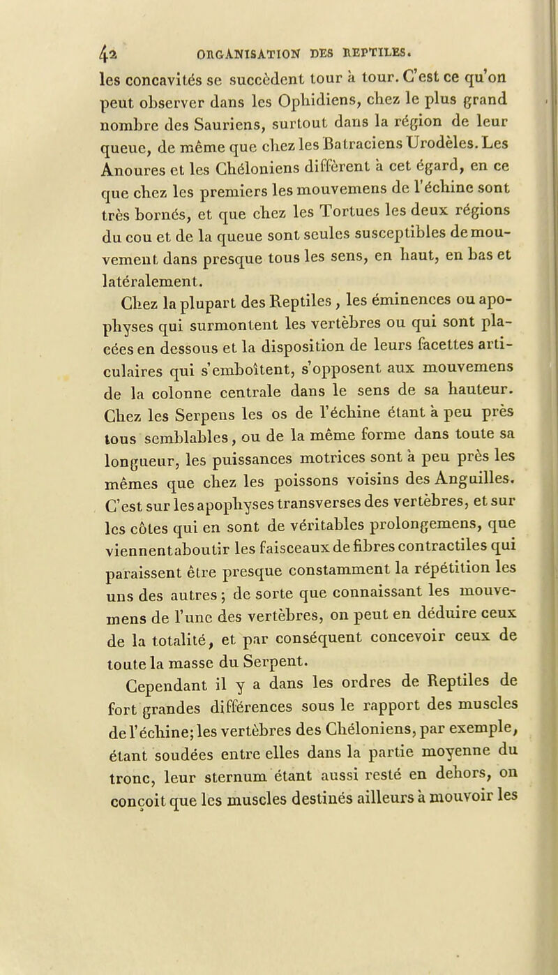 les concavités se succèdent tour k tour. C'est ce qu'on peut observer dans les Ophidiens, chez le plus grand nombre des Sauriens, surtout dans la région de leur queue, de même que chez les Batraciens Urodèles. Les Anoures et les Chéloniens diffèrent à cet égard, en ce que chez les premiers les mouvemens de l'échiné sont très bornés, et que chez les Tortues les deux régions du cou et de la queue sont seules susceptibles de mou- vement dans presque tous les sens, en haut, en bas et latéralement. Chez la plupart des Reptiles, les éminences ou apo- physes qui surmontent les vertèbres ou qui sont pla- cées en dessous et la disposition de leurs facettes arti- culaires qui s'emboîtent, s'opposent aux mouvemens de la colonne centrale dans le sens de sa hauteur. Chez les Serpens les os de l'échiné étant k peu près tous semblables, ou de la même forme dans toute sa longueur, les puissances motrices sont a peu près les mêmes que chez les poissons voisins des Anguilles. C'est sur les apophyses transverses des vertèbres, et sur les côtes qui en sont de véritables prolongemens, que viennentaboutir les faisceaux de fibres contractiles qui paraissent être presque constamment la répétition les uns des autres ; de sorte que connaissant les mouve- mens de l'une des vertèbres, on peut en déduire ceux de la totalité, et par conséquent concevoir ceux de toute la masse du Serpent. Cependant il y a dans les ordres de Reptiles de fort grandes différences sous le rapport des muscles de l'échiné; les vertèbres des Chéloniens, par exemple, étant soudées entre elles dans la partie moyenne du tronc, leur sternum étant aussi resté en dehors, on conçoit que les muscles destinés ailleurs k mouvoir les