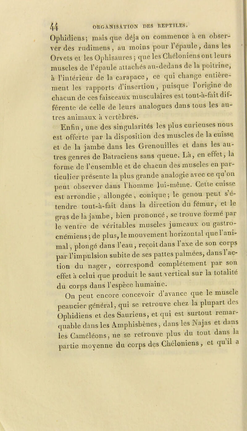 Ophidiens; mais que déjà on commence lien obser- ver des rudimens , au moins pour l'épaule, dans les Orvets et les Ophisaurcs ; que les CUéloniens ont leurs muscles de l'épaule attachés au-dedans de la poitrine, a l'intérieur de la carapace, ce qui change entière- ment les rapports d'insertion, puisque l'origine de chacun de ces faisceaux musculaires est tout-a-fait dif- férente de celle de leurs analogues dans tous les au- tres animaux à vertèbres. Enfin, une des singularités les plus curieuses nous est offerte par la disposition des muscles de la cuisse et de la jambe dans les Grenouilles et dans les au- tres genres de Batraciens sans queue. Là, en effet, la forme de l'ensemble et de chacun des muscles en par- ticulier présente la plus grande analogie avec ce qu'on peut observer dans l'homme lui-même. Cette cuisse est arrondie, allongée, conique-, le genou peut s'é- tendre tout-à-fait dans la direction du fémur, et le gras de la jambe, bien prononcé, se trouve formé par le ventre de véritables muscles jumeaux ou gaslro- cnémiens;de plus, le mouvement horizontal que l'ani- mal , plongé dans l'eau, reçoit dans l'axe de son corps par l'impulsion subite de ses pattes palmées, dans l'ac- tion du nager, correspond complètement par son effet à celui que produit le saut vertical sur la totalité du corps dans l'espèce humaine. On peut encore concevoir d'avance que le muscle peaucier général, qui se retrouve chez la plupart des Ophidiens et des Sauriens, et qui est surtout remar- quable dans les A^mphishènes, dans les Najas et dans les Caméléons, ne se retrouve plus du tout dans la partie moyenne du corps des Chéloniens, et qu'il a