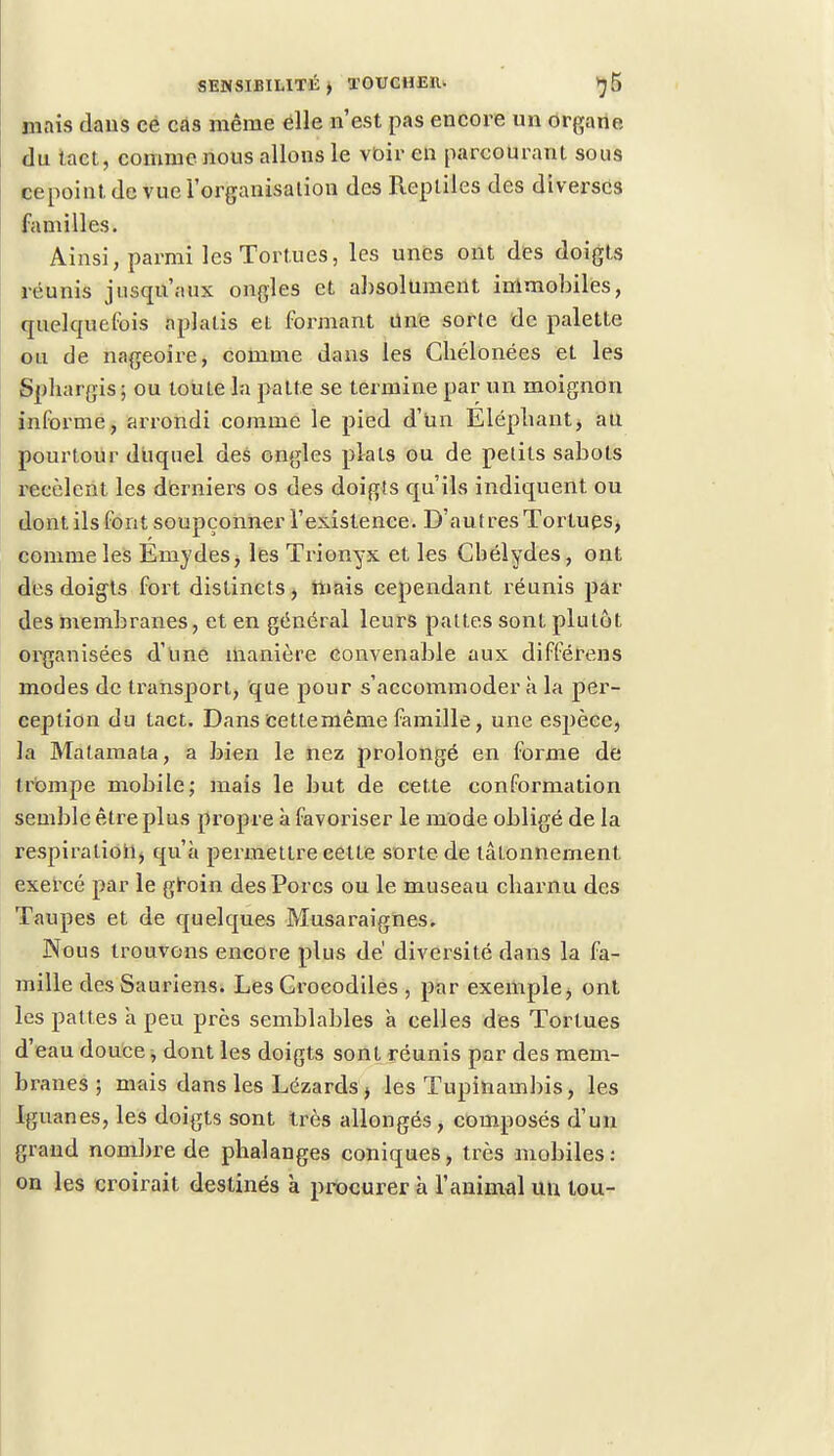mais dans ce cas même elle n'est pas encore un organe du tact, comme nous allons le voir en parcourant sous cepointdevue l'organisation des Pveptiles des diverses familles. Ainsi, parmi les Tortues, les unes ont des doigts réunis jusqu'aux ongles et absolument immobiles, quelquefois aplatis et formant Une sorte de palette ou de nageoire, comme dans les Gbélonées et les Sphargis; ou toute la patte se termine par un moignon informe, arrondi comme le pied d'Un Elépbant, au pourtour duquel des ongles pkts ou de petits sabots recèlent les derniers os des doigts qu'ils indiquent ou dont ils font soupçonner l'existence. D'autres Tortues, comme les Eniydes, les Trionyx et les Cbélydes, ont des doigts fort distincts, mais cependant réunis par des membranes, et en général leurs pattes sont plutôt organisées d'une manière convenable aux différens modes de transport, que pour s'accommoder à la per- ception du tact. Dans cettemême famille, une espèce, la Matamata, a bien le nez prolongé en forme de trompe mobile; mais le but de cette conformation semble être plus propre à favoriser le mode obligé de la respiration, qu'à permettre eette sorte de tâtonnement exercé par le groin des Porcs ou le museau ebarnu des Taupes et de quelques Musaraignes. Nous trouvons encore plus de' diversité dans la fa- mille des Sauriens. Les Crocodiles , par exemple, ont les pattes à peu près semblables à celles des Tortues d'eau douce, dont les doigts sont réunis par des mem- branes ; mais dans les Lézards, les Tupinambis, les Iguanes, les doigts sont très allongés, composés d'un grand nombre de phalanges coniques, très mobiles: on les croirait destinés à procurer à l'animal uu tou-