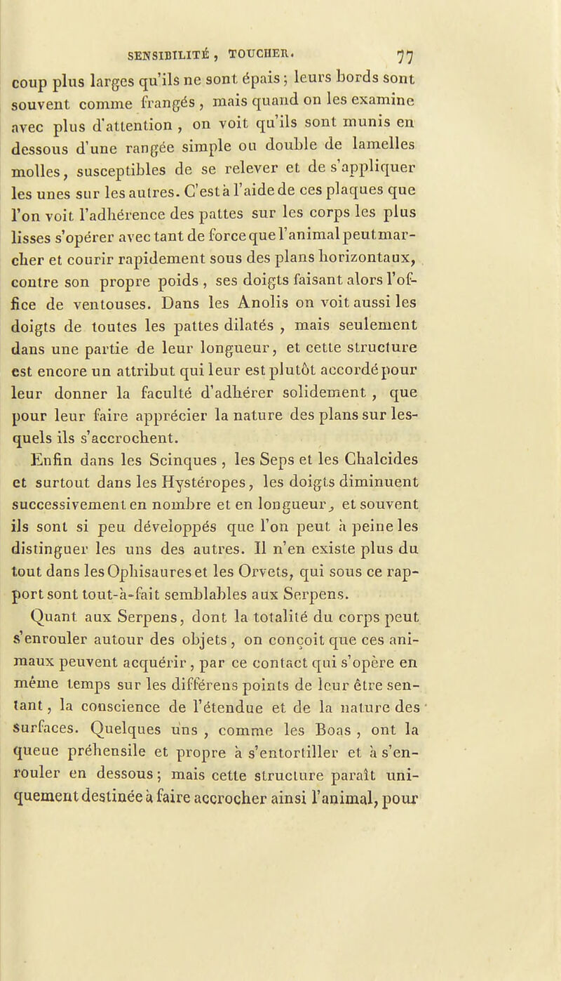 coup plus larges qu'ils ne sont épais ; leurs bords sont souvent comme frangés , mais quand on les examine avec plus d'attention , on voit qu'ils sont munis en dessous d'une rangée simple on double de lamelles molles, susceptibles de se relever et de s'appliquer les unes sur les autres. C'est à l'aide de ces plaques que l'on voit l'adhérence des pattes sur les corps les plus lisses s'opérer avec tant de force que l'animal peutmar- clier et courir rapidement sous des plans horizontaux, contre son propre poids , ses doigts faisant alors l'of- fice de ventouses. Dans les Anolis on voit aussi les doigts de toutes les pattes dilatés , mais seulement dans une partie <le leur longueur, et cette structure est encore un attribut qui leur est plutôt accordé pour leur donner la faculté d'adhérer solidement , que pour leur faire apprécier la nature des plans sur les- quels ils s'accrochent. Enfin dans les Scinques , les Seps et les Chalcides et surtout dans les Hystéropes, les doigts diminuent successivement en nombre et en longueur ^ et souvent ils sont si peu développés que l'on peut a peine les distinguer les uns des autres. Il n'en existe plus du tout dans lesOphisaureset les Orvets, qui sous ce rap- port sont tout-à-fait semblables aux Serpens. Quant aux Serpens, dont la totalité du corps peut s'enrouler autour des objets, on conçoit que ces ani- maux peuvent acquérir , par ce contact qui s'opère en même temps sur les différent points de leur être sen- tant , la conscience de l'étendue et de la nature des Surfaces. Quelques uns , comme les Boas , ont la queue préhensile et propre à s'entortiller et à s'en- rouler en dessous ; mais cette structure parait uni- quement destinée à faire accrocher ainsi l'animal, pour