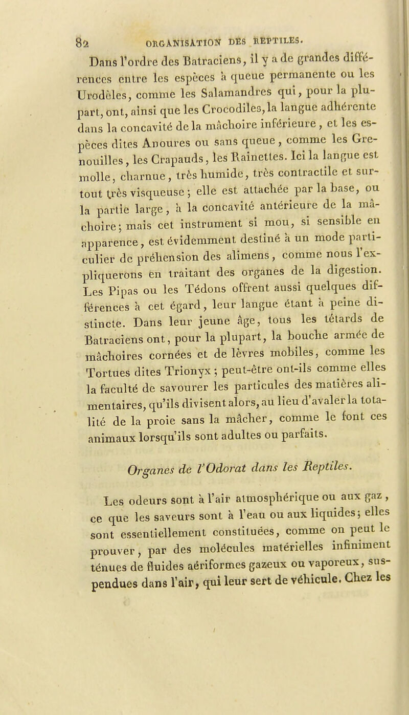 Dans l'ordre des Batraciens, il y a de grandes diffé- rences entre les espèces à queue permanente ou les Urodèles, comme les Salamandres qui, pour la plu- part, ont, ainsi que les Crocodiles, la langue adhérente dans la concavité delà mâchoire inférieure, et les es- pèces dites Anoures ou sans queue, comme les Gre- nouilles , les Crapauds, les Rainettes. Ici la langue est molle, charnue, très humide, très contractile et sur- tout très visqueuse ; elle est attachée par la base, ou la partie large, a la concavité antérieure de la mâ- choire; mais cet instrument si mou, si sensible en apparence, est évidemment destiné a un mode parti- culier de préhension des alimens , comme nous l'ex- pliquerons en traitant des organes de la digestion. Les Pipas ou les Tédons offrent aussi quelques dif- férences à cet égard, leur langue étant à peine di- stincte. Dans leur jeune âge, tous les têtards de Batraciens ont, pour la plupart, la bouche armée de mâchoires cornées et de lèvres mobiles, comme les Tortues dites Trionyx ; peut-être ont-ils comme elles la faculté de savourer les particules des matières ali- mentaires, qu'ils divisent alors, au lieu d'avaler la tota- lité de la proie sans la mâcher, comme le font ces animaux lorsqu'ils sont adultes ou parfaits. Organes de l'Odorat dans les Reptiles. Les odeurs sont à l'air atmosphérique ou aux gaz , ce que les saveurs sont à l'eau ou aux liquides; elles sont essentiellement constituées, comme on peut le prouver, par des molécules matérielles infiniment ténues de fluides aériformes gazeux ou vaporeux, sus- pendues dans l'air, qui leur sert de véhicule. Chez les
