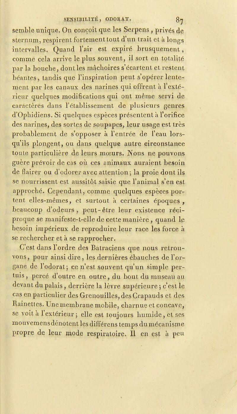 semble unique. On conçoit que les Serpens , privés de sLernum, inspirent fortement tout d'un trait et a longs intervalles. Quand l'air est expiré brusquement, comme cela arrive le plus souvent, il sort en totalité par la bouebe, dont les mâchoires s'écartent et restent béantes, tandis que l'inspiration peut s'opérer lente- ment par les canaux des narines qui offrent h l'exté- rieur quelques modifications qui ont même servi de caractères dans l'établissement de plusieurs genres d'Ophidiens. Si quelques espèces présentent à l'orifice des narines, des sortes de soupapes, leur usage est très probablement de s'opposer à l'entrée de l'eau lors- qu'ils plongent, ou dans quelque autre circonstance toute particulière de leurs moeurs. Nous ne pouvons guère prévoir de cas où ces animaux auraient besoin de flairer ou d odorer avec attention; la proie dont ils se nourrissent est aussitôt saisie que l'animal s'en est approché. Cependant, comme quelques espèces por- tent elles-mêmes, et surtout à certaines époques , beaucoup d'odeurs, peut-être leur existence réci- proque se manifeste-t-elle de cette manière, quand le besoin impérieux de reproduire leur race les force à se rechercher et à se rapprocher. C'est dans l'ordre des Batraciens que nous retrou- vons , pour ainsi dire, les dernières ébauebes de l'or- gane de l'odorat; ce n'est souvent qu'un simple per- tuis, percé d'outre en outre, du bout du museau au devant du palais, derrière la lèvre supérieure ; c'est le cas en particulier des Grenouilles, des Crapauds et des Rainettes. Une membrane mobile, charnue et concave, se voit à l'extérieur; elle est toujours humide, et ses mouvemens dénotent les différens temps du mécanisme propre de leur mode respiratoire. Il en est à peu