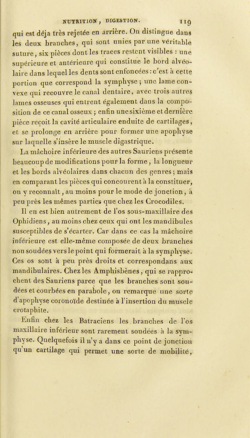 qui est déjà très rejetée en arrière. On distingue dans les deux branches, qui sont unies par une véritable suture, six pièces dont les traces restent visibles : une supérieure et antérieure qui constitue le bord alvéo- laire dans lequel les dents sont enfoncées : c'est à celle portion que correspond la symphyse ; une lame con- vexe qui recouvre le canal dentaire, avec trois aulros lames osseuses qui entrent également dans la compo- sition de ce canal osseux ; enfin une sixième et dernière jiièce reçoit la cavité articulaire enduite de cartilages, et se prolonge en arrière pour former une apophyse sur laquelle s'insère le muscle digastrique. La mâchoire inférieure des autres Sauriens présente beaucoup de modifications pour la forme, la longueur et les bords alvéolaires dans chacun des genres; mais en comparant les pièces qui concourent à la constituer, on y reconnaît, au moins pour le mode de jonclion, à peu près les mêmes parties que chez les Crocodiles. Il en est bien autrement de l'os sous-maxillaire des Ophidiens, au moins chez ceux qui ont les mandibules susceptibles de s'écarter. Car dans ce cas la mâchoire inférieure est elle-même composée de deux branches non soudées verslepoint qui formerait à la symphyse. Ces os sont à peu près droits et correspondans aux mandibulaires. Chez les Amphisbènes, qui se rappro-? chent des Sauriens parce que les branches sont sou- dées et courbées en parabole, on remarque une sorte d'apophyse coronoïde destinée à l'insertion du muscle c rota phi te. Enfin chez les Batraciens les branches de l'os maxillaire inférieur sont rarement soudées à la sym- physe. Quelquefois il n'y a dans ce point de jonction qu'un cartilage qui permet une sorte de mobilité,