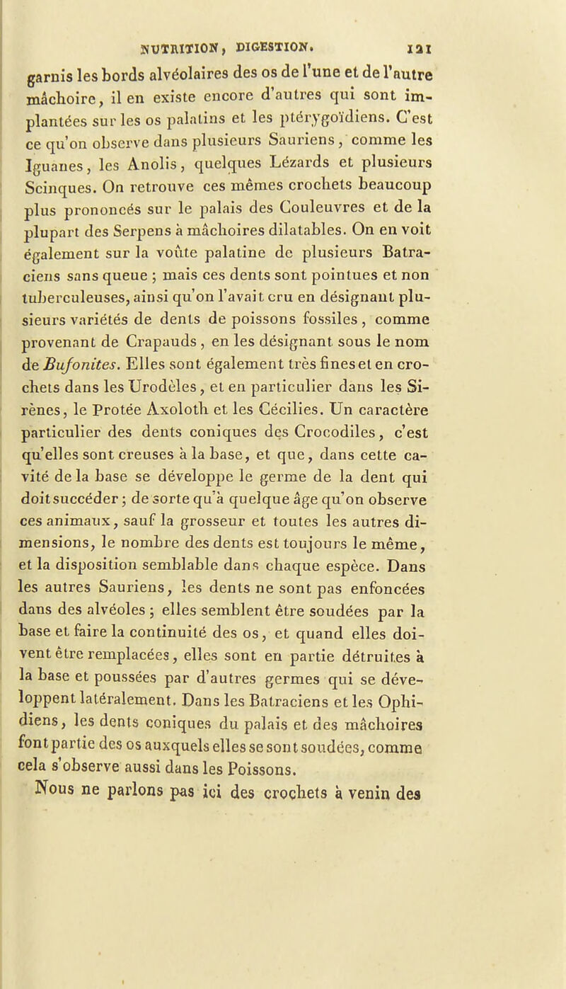 garnis les bords alvéolaires des os de l'une et de l'autre mâchoire, il en existe encore d'autres qui sont im- plantées sur les os palatins et les ptérygoïdiens. C'est ce qu'on observe dans plusieurs Sauriens, comme les Iguanes, les Anolis, quelques Lézards et plusieurs Scinques. On retrouve ces mêmes crochets beaucoup plus prononcés sur le palais des Couleuvres et de la plupart des Serpens à mâchoires dilatables. On en voit également sur la voûte palatine de plusieurs Batra- ciens sans queue ; mais ces dents sont pointues et non tuberculeuses, ainsi qu'on l'avait cru en désignant plu- sieurs variétés de dents de poissons fossiles, comme provenant de Crapauds , en les désignant, sous le nom de Bufonites. Elles sont également très fines et en cro- chets dans les Urodèles, et en particulier dans les Si- rènes, le Protée Àxoloth et les Cécilies. Un caractère particulier des dents coniques des Crocodiles, c'est qu'elles sont creuses à la base, et que, dans cette ca- vité de la base se développe le germe de la dent qui doitsuccéder ; de sorte qu'à quelque âge qu'on observe ces animaux, sauf la grosseur et toutes les autres di- mensions, le nombre des dents est toujours le même, et la disposition semblable dans chaque espèce. Dans les autres Sauriens, les dents ne sont pas enfoncées dans des alvéoles ; elles semblent être soudées par la base et faire la continuité des os, et quand elles doi- vent être remplacées, elles sont en partie détruites à la base et poussées par d'autres germes qui se déve- loppent latéralement. Dans les Batraciens et les Ophi- diens, les dents coniques du palais et des mâchoires fontpartie des os auxquels elles se sont soudées, comme cela s'observe aussi dans les Poissons. Nous ne parlons pas ici des crochets à venin des
