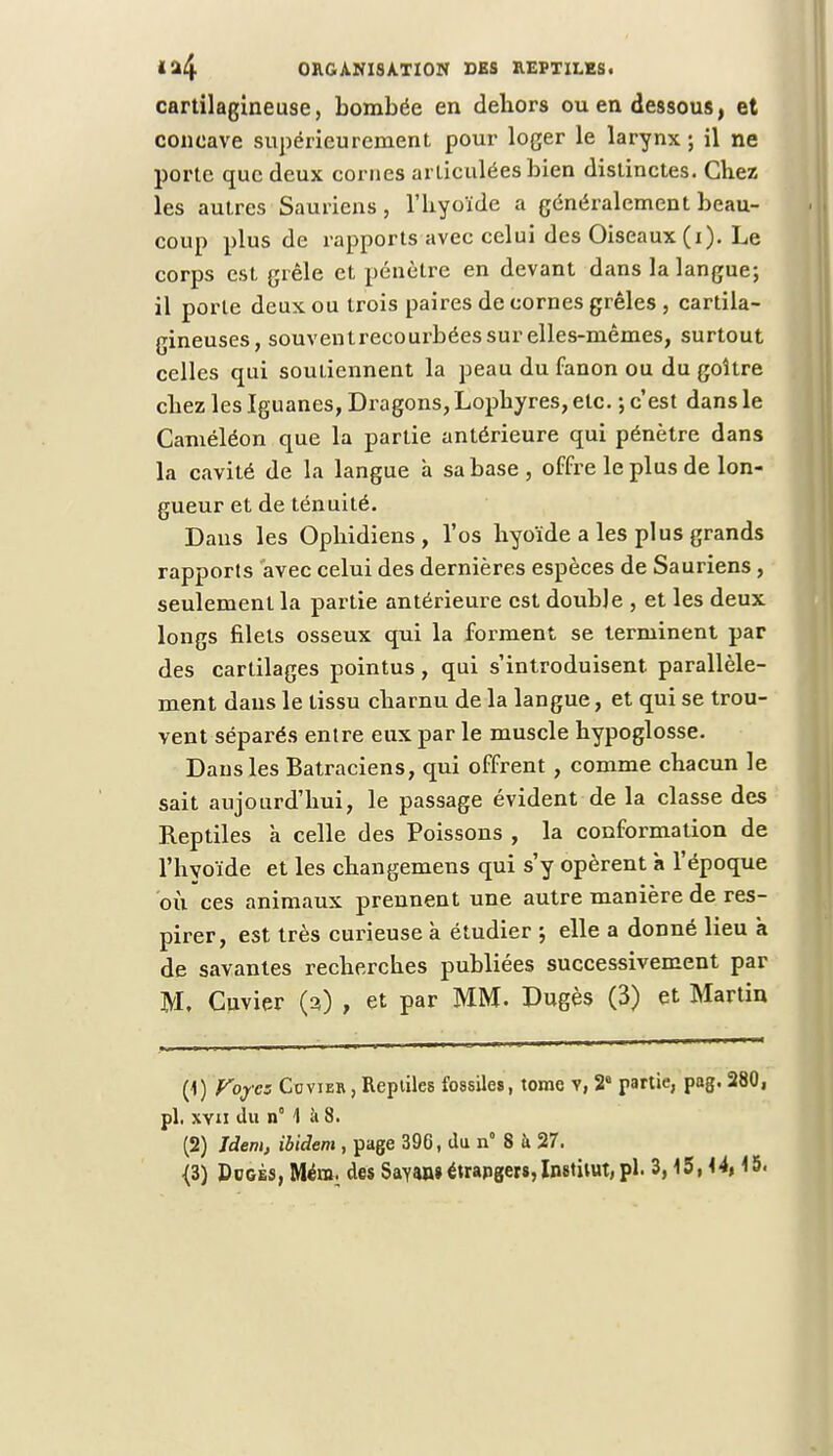 cartilagineuse, bombée en dehors ou en dessous, et concave supérieurement pour loger le larynx ; il ne porte que deux cornes articulées bien distinctes. Chez les autres Sauriens, l'hyoïde a généralement beau- coup plus de rapports avec celui des Oiseaux (i). Le corps est grêle et pénètre en devant dans la langue; il porte deux ou trois paires de cornes grêles , cartila- gineuses, souventrecourbées sur elles-mêmes, surtout celles qui soutiennent la peau du fanon ou du goitre chez les Iguanes, Dragons, Lophyres, etc. ; c'est dans le Caméléon que la partie antérieure qui pénètre dans la cavité de la langue à sa base , offre le plus de lon- gueur et de ténuité. Dans les Ophidiens, l'os hyoïde a les plus grands rapports avec celui des dernières espèces de Sauriens , seulement la partie antérieure est double , et les deux longs filets osseux qui la forment se terminent par des cartilages pointus, qui s'introduisent parallèle- ment dans le tissu charnu de la langue, et qui se trou- vent séparés entre eux par le muscle hypoglosse. Dans les Batraciens, qui offrent , comme chacun le sait aujourd'hui, le passage évident de la classe des Reptiles à celle des Poissons , la conformation de l'hyoïde et les changemens qui s'y opèrent à l'époque où ces animaux prennent une autre manière de res- pirer, est très curieuse k étudier ; elle a donné lieu a de savantes recherches publiées successivement par M, Cuvier (3) , et par MM. Dugès (3) et Martin (1) Voyez Covier , Reptiles fossiles, tome v, 2' partie, pag. 280, pl, xvn du n 1 à 8. (2) Idem, ibidem , page 396, du n° 8 à 27.