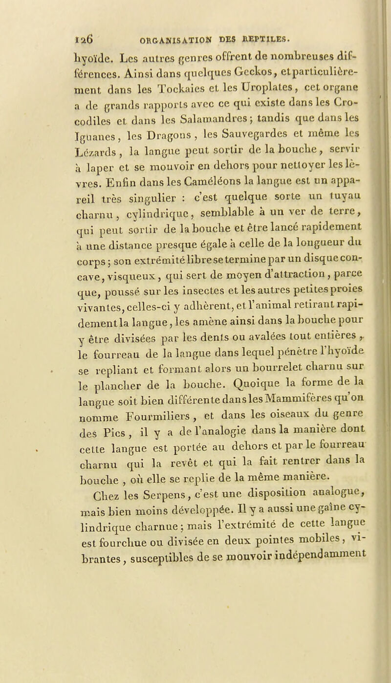 hyoïde. Les autres genres offrent de nombreuses dif- férences. Ainsi dans quelques Geckos, et particulière- ment dans les ïoekaies et les Uroplates, cet organe a de grands rapports avec ce qui existe dans les Cro- codiles et dans les Salamandres -, tandis que dans les Iguanes, les Dragons , les Sauvegardes et même les Lé/.ards , la langue peut sortir de la bouche , servir à laper et se mouvoir en dehors pour nettoyer les lè- vres. Enfin dans les Caméléons la langue est un appa- reil très singulier : c'est quelque sorte un tuyau charnu, cylindrique, semblable à un ver de terre, qui peut sortir de la bouche et être lancé rapidement a une distance presque égale à celle de la longueur du corps; son extrémité libre se termine par un disquecon- cave, visqueux, qui sert de moyen d'attraction , parce que, poussé sur les insectes et les autres petites proies vivantes, celles-ci y adhèrent, et l'animal retirant rapi- dement la langue, les amène ainsi dans la bouche pour y être divisées par les dents ou avalées tout entières , le fourreau de la langue dans lequel pénètre l'hyoïde se repliant et formant alors un bourrelet charnu sur le plancher de la bouche. Quoique la forme de la langue soit, bien différente dans les Mammifères qu'on nomme Fourmiliers , et dans les oiseaux du genre des Pics , il y a de l'analogie dans la manière dont cette langue est portée au dehors et par le fourreau charnu qui la revêt et qui la fait rentrer dans la bouche , où elle se replie de la même manière. Chez les Serpens, c'est une disposition analogue, mais bien moins développée. Il y a aussi une gaîne cy- lindrique charnue ; mais l'extrémité de cette langue est fourchue ou divisée en deux pointes mobiles, vi- brantes , susceptibles de se mouvoir indépendamment