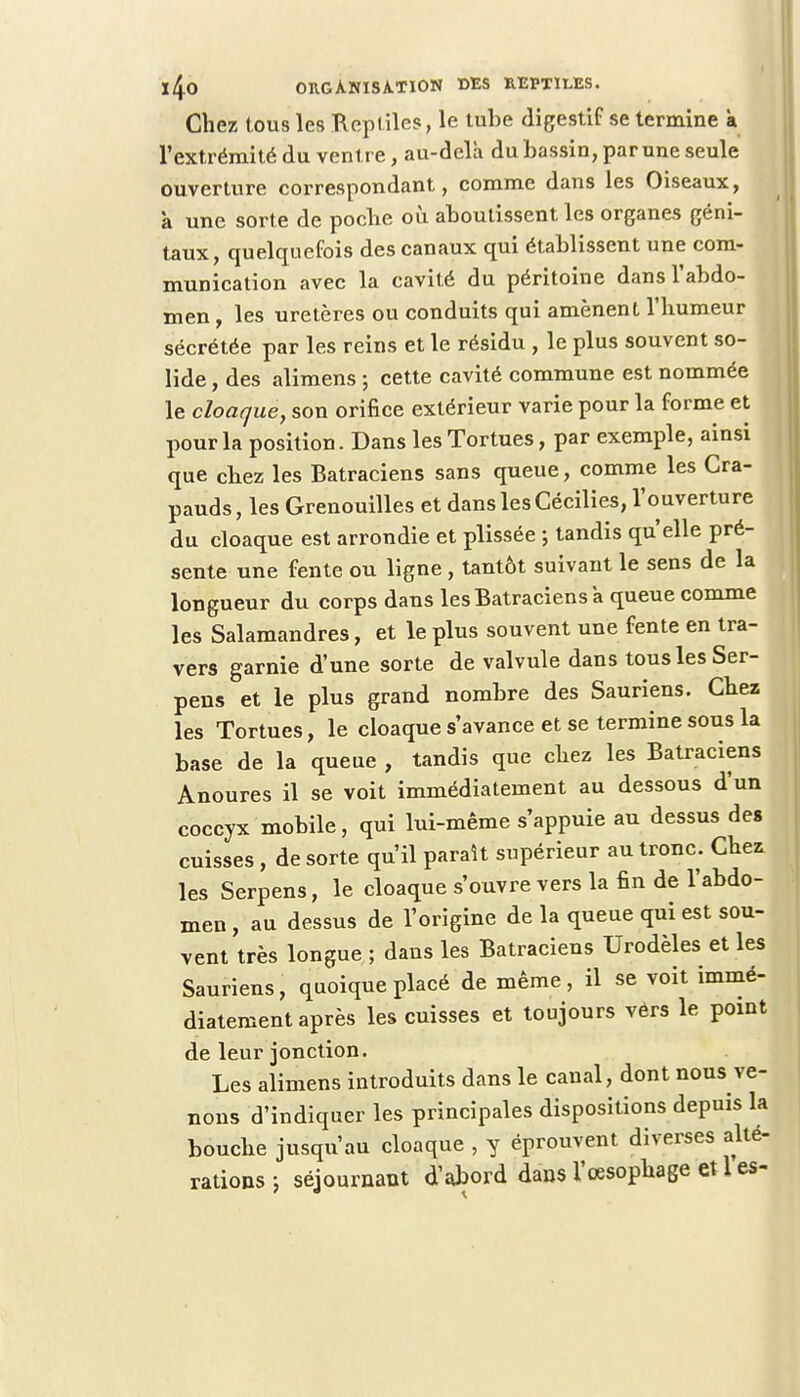 Chez tous les Reptiles, le tuhe digestif se termine a l'extrémité du ventre, au-delà du bassin, par une seule ouverture correspondant, comme dans les Oiseaux, à une sorte de poche où aboutissent les organes géni- taux, quelquefois des canaux qui établissent une com- munication avec la cavité du péritoine dans l'abdo- men , les uretères ou conduits qui amènent l'humeur sécrétée par les reins et le résidu , le plus souvent so- lide , des alimens ; cette cavité commune est nommée le cloaque, son orifice extérieur varie pour la forme et pour la position. Dans les Tortues, par exemple, ainsi que chez les Batraciens sans queue, comme les Cra- pauds, les Grenouilles et dans les Cécilies, l'ouverture du cloaque est arrondie et plissée ; tandis qu'elle pré- sente une fente ou ligne, tantôt suivant le sens de la longueur du corps dans les Batraciens à queue comme les Salamandres, et le plus souvent une fente en tra- vers garnie d'une sorte de valvule dans tous les Ser- pens et le plus grand nombre des Sauriens. Chez les Tortues, le cloaque s'avance et se termine sous la base de la queue , tandis que chez les Batraciens Anoures il se voit immédiatement au dessous d'un coccyx mobile, qui lui-même s'appuie au dessus des cuisses , de sorte qu'il paraît supérieur au tronc. Chez les Serpens, le cloaque s'ouvre vers la fin de l'abdo- men , au dessus de l'origine de la queue qui est sou- vent très longue ; dans les Batraciens Urodèles et les Sauriens, quoique placé de même, il se voit immé- diatement après les cuisses et toujours vers le point de leur jonction. Les alimens introduits dans le canal, dont nous ve- nons d'indiquer les principales dispositions depuis la bouche jusqu'au cloaque , y éprouvent diverses alté- rations } séjournant d'abord dans l'œsophage et 1 es-