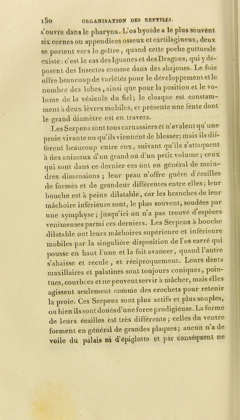 s'ouvre dans le pharynx. L'os hyoïde a le plus souvent six cornes ou appendices osseux et cartilagineux, deux se portent vers le goitre , quand cette poche gutturale existe: c'est le cas des Iguanes et des Dragons, qui y dé- posent des Insectes comme dans des abajoues. Le foie offre beaucoup de variétés pour le développement et le nombre des lobes , ainsi que pour la position et le vo- lume de la vésicule du fiel; le cloaque est constam- ment h deux lèvres mobiles, et présente une fente dont le grand diamètre est en travers. Les Serpens sont tous carnassiers et n'avalent qu une proie vivante ou qu'ils viennent de blesser; mais ils dif- fèrent beaucoup entre eux, suivant qu'ils s'attaquent à des animaux d'un grand ou d'un petit volume ; ceux qui sont dans ce dernier cas ont en général de moin- dres dimensions ; leur peau n'offre guère d'écaillés de formes et de grandeur différentes entre elles ; leur bouche est a peine dilatable, car les branches de leur mâchoire inférieure sont, le plus souvent, soudées par une symphyse; jusqu'ici on n'a pas trouvé d'espèces venimeuses parmi ces derniers. Les Serpens à bouche dilatable ont leurs mâchoires supérieure et inférieure mobiles par la singulière disposition de Vos carré qui pousse en haut Tune et la fait avancer, quand l'autre s'abaisse et recule , et réciproquement. Leurs dents maxillaires et palatines sont toujours coniques, poin- tues, courbées et ne peuvent servir à mâcher, mais elles agissent seulement comme des crochets pour retenir la proie. Ces Serpens sont plus actifs et plus souples, ou bien ils sont doués d'une force prodigieuse. La forme de leurs écailles est très différente; celles du ventre forment en général de grandes plaques; aucun n'a de voile du palais ni d'épiglotte et par conséquent ne
