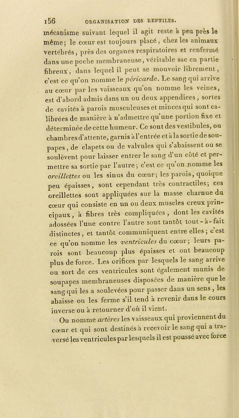 mécanisme suivant lequel il agit reste a peu près le même; le cœur est toujours placé, chez les animaux vertébrés, près des organes respiratoires et renfermé dans une poche membraneuse, véritable sac en partie fibreux , dans lequel il peut se mouvoir librement, c'est ce qu'on nomme le péricarde. Le sang qui arrive au coeur par les vaisseaux qu'on nomme les veines, est d'abord admis dans un ou deux appendices , sortes de cavités à parois musculeuses et minces qui sont ca- librées de manière à n'admettre qu'une portion fixe et déterminée de cette humeur. Ce sont des vestibules, ou chambres d'attente, garnis a l'entrée et à la sorlie de sou- papes , de clapets ou de valvules qui s'abaissent ou se soulèvent pour laisser entrer le sang d'un côté et per- mettre sa sortie par l'autre-, c'est ce qu'on .nomme les oreillettes ou les sinus du cœur; les parois, quoique peu épaisses, sont cependant très contractiles; ces oreillettes sont appliquées sur la masse charnue du cœur qui consiste en un ou deux muscles creux prin- cipaux , à fibres très compliquées , dont les cavités adossées l'une contre l'autre sont tantôt tout-à-fait distinctes , et tantôt communiquent entre elles ; c'est ce qu'on nomme les ventricules du cœur ; leurs pa- rois sont beaucoup plus épaisses et ont beaucoup plus de force. Les orifices par lesquels le sang arrive ou sort de ces ventricules sont également munis de soupapes membraneuses disposées de manière que le sang qui les a soulevées pour passer dans un sens , les abaisse ou les ferme s'il tend k revenir dans le cours inverse ou k retourner d'où il vient. On nomme artères les vaisseaux qui proviennent du cœur et qui sont destinés a recevoir le sang qui a tra- versé les ventricules par lesquels il est poussé avec force