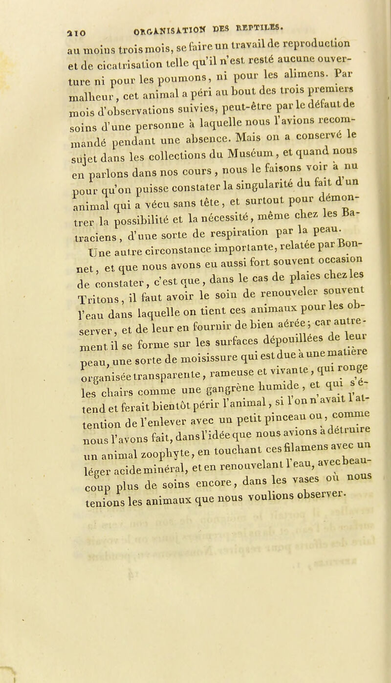 au moins troismois, se faire un travailde reproduction et de cicatrisation telle qu'il n est resté aucune ouver- ture ni pour les poumons, ni pour les alimens. Par malheur, cet animal a péri au bout des trois premier, mois d'observations suivies, peut-être par le défaut de soins d'une personne a laquelle nous l'avions recom- mandé pendant une absence. Mais on a conservé le suiet dans les collections du Muséum, et quand nous en parlons dans nos cours , nous le faisons voir a nu pour qu'on puisse constater la singularité du fait d un animal qui a vécu sans tête, et surtout pour démon- trer la possibilité et la nécessité, même chez les Ba- traciens, d'une sorte de respiration par la peau^ Une autre circonstance importante, relatée par Bon- net , et que nous avons eu aussi fort souvent occasion de constater, c'est que, dans le cas de plaies chez les Tritons, il faut avoir le soin de renouveler souvent l'eau dans laquelle on tient ces animaux pour les ob- server, et de leur en fournir de bien aérée, car^autre- ment.il se forme sur les surfaces dépouillées de leui peau, une sorte de moisissure quiestdueàunemauere L-ganiséetransparente, rameuse et vivante qui onge les chairs comme une gangrène humide, et qui se tend et ferait bientôt périr l'animal, si 1 on n avait 1 al tention de l'enlever avec un petit pinceau ou comme nous l'avons fait, dansl'idée que nous avions aMuire un animal zoophyte, en touchant cesfi amens avec un léger acidemiiéral, et en renouvelant l'eau, avecbe u- eoup pins de soins encore, dans les vases ou nous tenions les animaux que nous voulions observer.