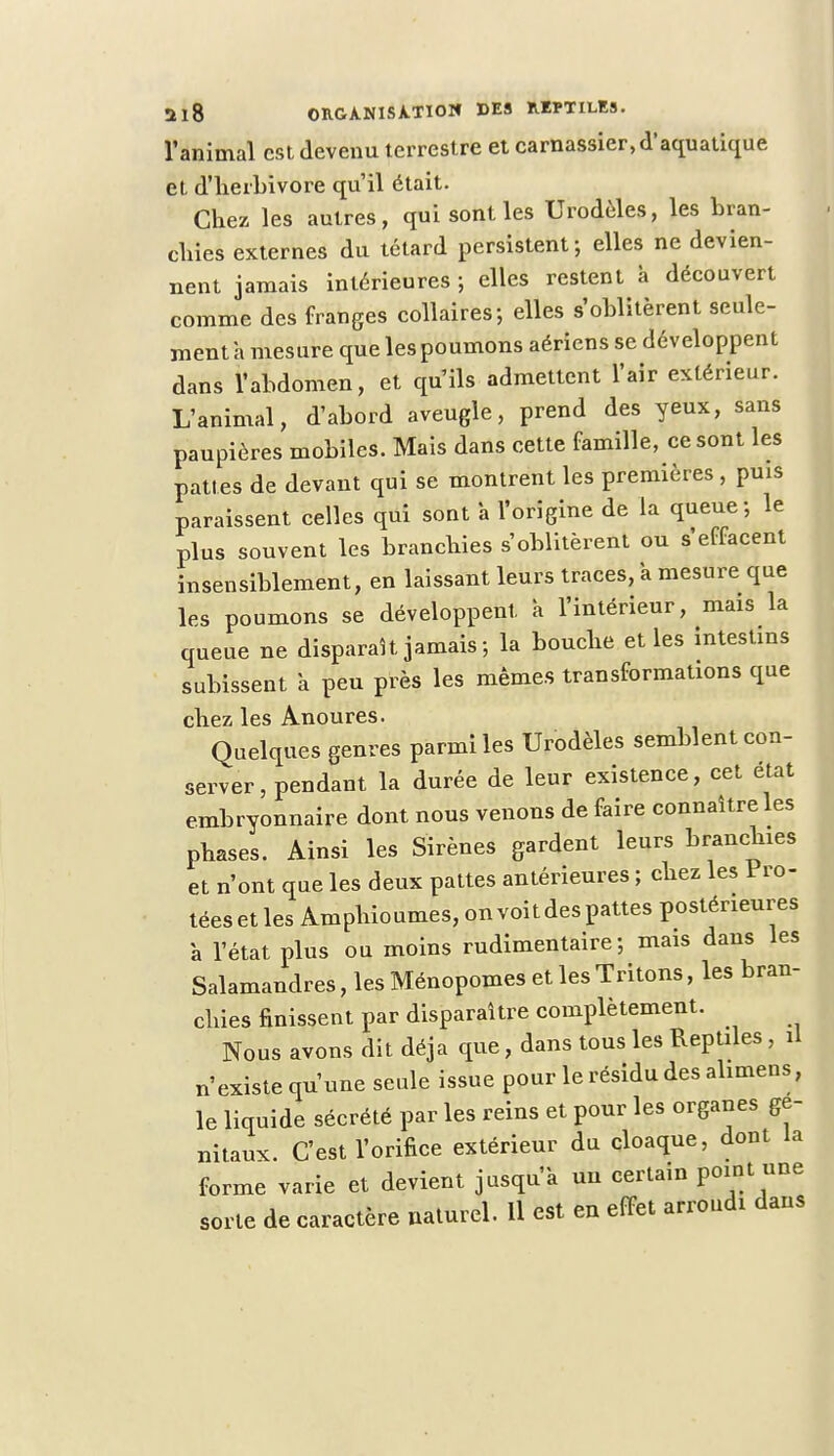l'animal est devenu terrestre et carnassier,d'aquatique et d'herbivore qu'il était. Chez les autres, qui sont les Urodèles, les bran- chies externes du têtard persistent-, elles ne devien- nent jamais intérieures ; elles restent à découvert comme des franges collaires-, elles s'oblitèrent seule- ment a mesure que les poumons aériens se développent dans l'abdomen, et qu'ils admettent l'air extérieur. L'animal, d'abord aveugle, prend des yeux, sans paupières mobiles. Mais dans cette famille, ce sont les pattes de devant qui se montrent les premières , puis paraissent celles qui sont à l'origine de la queue-, le plus souvent les branchies s'oblitèrent ou s'effacent insensiblement, en laissant leurs traces, a mesure que les poumons se développent h l'intérieur, mais la queue ne disparaît jamais ; la bouche elles intestins subissent à peu près les mêmes transformations que chez les Anoures. Quelques genres parmi les Urodèles semblent con- server , pendant la durée de leur existence, cet état embryonnaire dont nous venons de faire connaître les phases. Ainsi les Sirènes gardent leurs branchies et n'ont que les deux pattes antérieures ; chez les Pro- téesetlesAmphioumes,onvoitdespattes postérieures à l'état plus ou moins rudimentaire ; mais dans les Salamandres, les Ménopomes et les Tritons, les bran- chies finissent par disparaître complètement. Nous avons dit déjà que, dans tous les Reptiles, il n'existe qu'une seule issue pour le résidu des alimens, le liquide sécrété par les reins et pour les organes gé- nitaux. C'est l'orifice extérieur du cloaque, dont la forme varie et devient jusqu'à un certain point «ne sorte de caractère naturel. Il est en effet arrondi dans