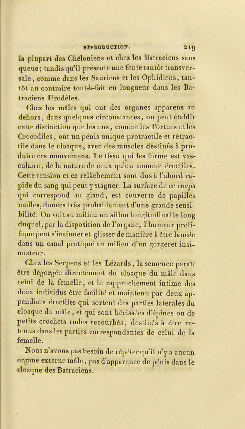 la plupart des Chéloniens et chez les Batraciens sans queue ; tandis qu'il présente une fente tantôt transver- sale, comme dans les Sauriens et les Ophidiens, tan- tôt au contraire tout-à-fait en longueur dans les Ba- traciens Urodèles. Chez les mâles qui ont des organes apparens au dehors, dans quelques circonstances, on peut établir cette distinction que les uns, comme les Tortues et les Crocodiles, ont un pénis unique protractile et rétrac- tile dans le cloaque, avec des muscles destinés à pro- duire ces mouvemens. Le tissu qui les forme est vas- culaire, de la nature de ceux qu'on nomme érectiles. Cette tension et ce relâchement sont dus à l'abord ra- pide du sang qui peut y stagner. La surface de ce corps qui correspond au gland, est couverte de papilles molles, douées très probablement d'une grande sensi- bilité. On voit au milieu un sillon longitudinal le long duquel, par la disposition de l'organe, l'humeur proli- fique peut s'insinuer et glisser de manière a être lancée dans un canal pratiqué au milieu d'un gorgeret insi- nuateur. Chez les Serpens et les Lézards, la semence paraît être dégorgée directement du cloaque du mâle dans celui de la femelle, et le rapprochement intime des deux individus être facilité et maintenu par deux ap- pendices érectiles qui sortent des parties latérales du cloaque du mâle, et qui sont hérissées d'épines ou de petits crochets rudes recourbés, destinés à être re- tenus dans les parties correspondantes de celui de la femelle. Nous n'avons pas besoin de répéter qu'il n'y a aucun organe externe mâle, pas d'apparence de pénis daus le cloaque des Batraciens.