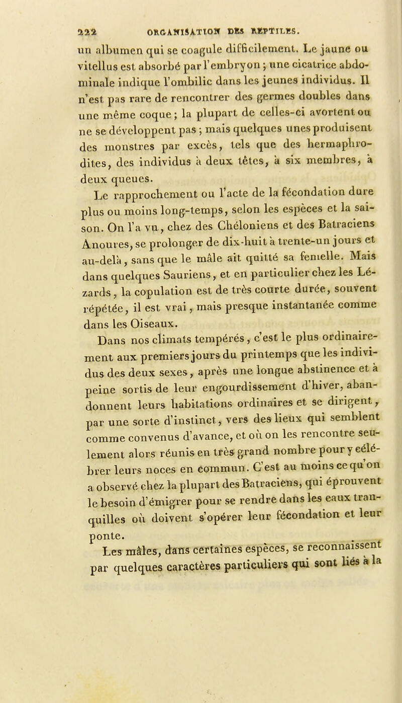 un albumen qui se coagule difficilement. Le jaune ou vitellus est absorbé par l'embryon ; une cicatrice abdo- minale indicpae l'ombilic dans les jeunes individus. Il n'est pas rare de rencontrer des germes doubles dans une même coque; la plupart de celles-ci avortent ou ne se développent pas ; mais quelques unes produisent des monstres par excès, tels que des hermaphro- dites, des individus à deux têtes, a six membres, a deux queues. Le rapprochement ou l'acte de la fécondation dure plus ou moins long-temps, selon les espèces et la sai- son. On l'a vu, chez des Chéloniens et des Batraciens Anoures, se prolonger de dix-huit a trente-un jours et au-delà, sans que le mâle ait quitté sa femelle. Mais dans quelques Sauriens, et en particulier chez les Lé- zards , la copulation est de très courte durée, souvent répétée, il est vrai, mais presque instantanée comme dans les Oiseaux. Dans nos climats tempérés, c'est le plus ordinaire- ment aux premiers jours du printemps que les indivi- dus des deux sexes, après une longue abstinence et à peine sortis de leur engourdissement d'hiver, aban- donnent leurs habitations ordinaires et se dirigent r par une sorte d'instinct, vers des lieux qui semblent comme convenus d'avance, et où on les rencontre seu- lement alors réunis en très grand nombre pour y célé- brer leurs noces en commun. C'est au moins ce qu'on a observé chez la plupart des Batraciens, qui éprouvent le besoin d'émigrer pour se rendre dans les eaux tran- quilles où doivent s'opérer leur fécondation et leur ponte. Les mâles, dans certaines espèces, se reconnaissent par quelques caractères particuliers qui sont liés à la