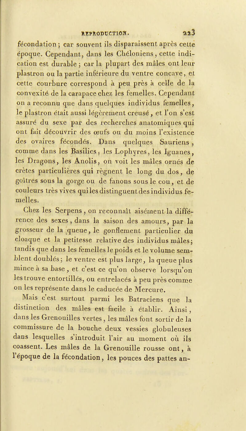 fécondation ; car souvent ils disparaissent après cette époque. Cependant, dans les Chéloniens, cette indi- cation est durable ; car la plupart des mâles ont leur plastron ou la partie inférieure du ventre concave, et cette courbure correspond k peu près à celle de la convexité de la carapace cbez les femelles. Cependant on a reconnu que dans quelques individus femelles, le plastron était aussi légèrement creusé, et l'on s'est assuré du sexe par des recherches anatomiques qui ont fait découvrir des oeufs ou du moins l'existence des ovaires fécondés. Dans quelques Sauriens , comme dans les Basilics , les Lopbyres, les Iguanes, les Dragons, les Anolis, on voit les mâles ornés de crêtes particulières qui régnent le long du dos, de goitres sous la gorge ou de fanons sous le cou, et de couleurs très vives qui les distinguent des individus fe- melles. Chez les Serpens , on reconnaît aisément la diffé- rence des sexes, dans la saison des amours, par la grosseur de la Lqueue, le gonflement particulier du cloaque et la petitesse relative des individus mâles; tandis que dans les femelles le poids et le volume sem- blent doublés; le ventre est plus large, la queue plus mince à sa base , et c'est ce qu'on observe lorsqu'on les trouve entortillés, ou entrelacés à peu près comme on les représente dans le caducée de Mercure. Mais c'est surtout parmi les Batraciens que la distinction des mâles est facile à établir. Ainsi, dans les Grenouilles vertes, les mâles font sortir de la commissure de la bouche deux vessies globuleuses dans lesquelles s'introduit l'air au moment où ils coassent. Les mâles de la Grenouille rousse ont, h l'époque de la fécondation, les pouces des pattes an-