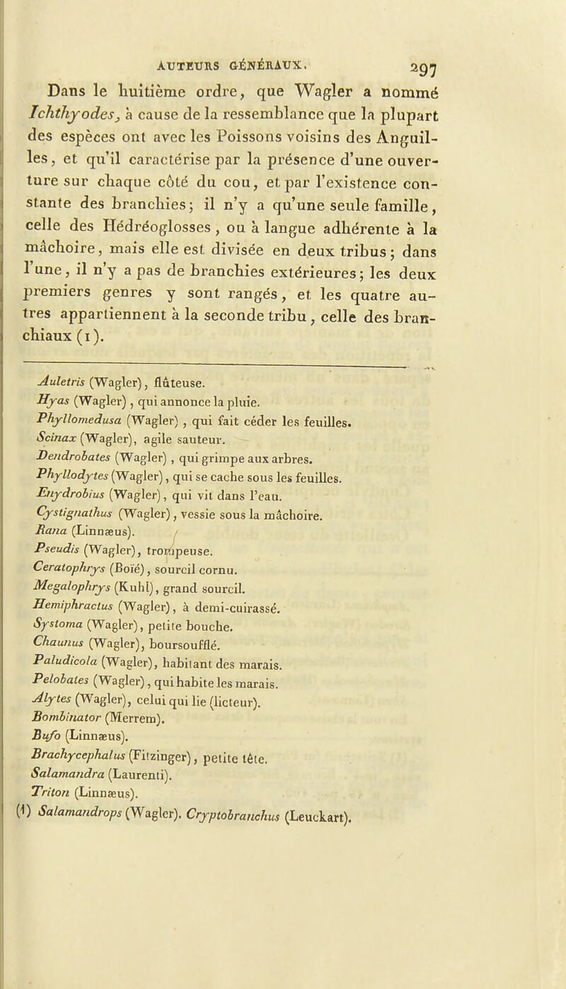 Dans le huitième ordre, que Wagler a nommé IchthyodeSj à cause de la ressemblance que la plupart des espèces ont avec les Poissons voisins des Anguil- les, et qu'il caractérise par la présence d'une ouver- ture sur chaque côté du cou, et par l'existence con- stante des branchies; il n'y a qu'une seule famille, celle des Hédréoglosses, ou à langue adhérente à la mâchoire, mais elle est divisée en deux tribus ; dans l'une, il n'y a pas de branchies extérieures; les deux premiers genres y sont rangés, et les quatre au- tres appartiennent à la seconde tribu, celle des bran- chiaux (1). Auletris (Wagler), fluteuse. Hyas (Wagler), qui annonce la pluie. PhyUomedusa (Wagler) , qui fait céder les feuilles. Scinax (Wagler), agile sauteur. Bendrobates (Wagler) , qui grimpe aux arbres. Phyllodjrtes (Wagler), qui se cache sous les feuilles. Enydrobius (Wagler), qui vit dans l'eau. Cystignathus (Wagler) ; vessie sous la mâchoire. Rana (Linnaeus). / Pseudis (Wagler), trompeuse. Ceratophrys (Boié), sourcil cornu. Megalophrys (Kuhl), grand sourcil. Hemiphraclus (Wagler), à demi-cuirassé. Systoma (Wagler), petite bouche. Chaunus (Wagler), boursoufflé. Paludicola (Wagler), habitant des marais. Pelobales (Wagler), qui habite les marais. Alytes (Wagler), celui qui lie (licteur). Bombinator (Merrem). Bu/o (Linnaeus). Brachycephalus (Fitzinger), petite tète. Salamandra (Laurenti). Triton (Linnaeus). (1) Salamandrops (Wagkr). Cryptobranchus (Leuckart).