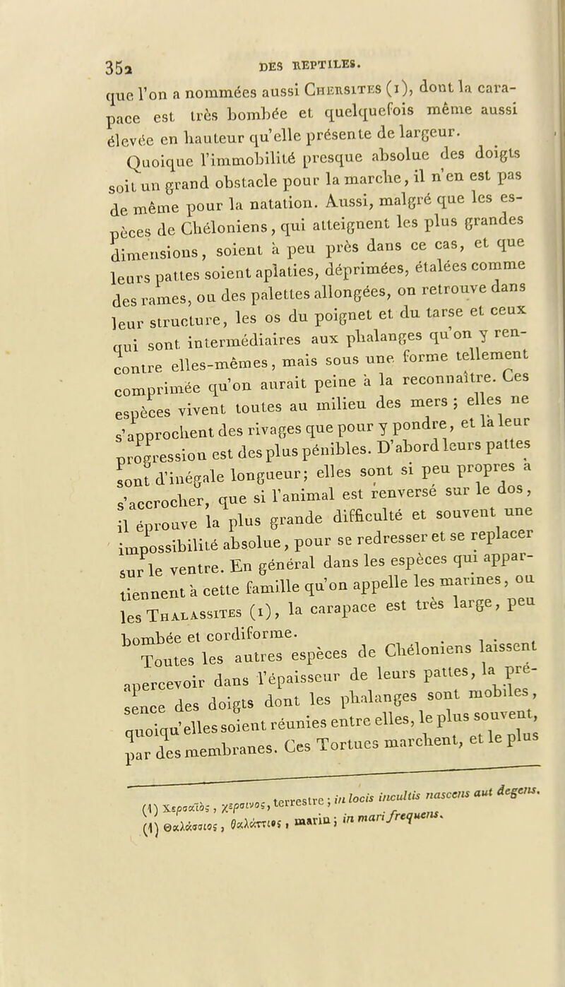 que l'on a nommées aussi Chursites (i), dont la cara- pace est très bombée et quelquefois même aussi élevée en hauteur qu'elle présente de largeur. Quoique l'immobilité presque absolue des doigts soit un grand obstacle pour la marche, il n'en est pas de même pour la natation. Aussi, malgré que les es- pèces de Chéloniens, qui atteignent les plus grandes dimensions, soient à peu près dans ce cas, et que leurs pattes soient aplaties, déprimées, étalées comme des rames, ou des palettes allongées, on retrouve dans leur structure, les os du poignet et du tarse et ceux aui sont, intermédiaires aux phalanges qu'on y ren- contre elles-mêmes, mais sous une forme tellement comprimée qu'on aurait peine à la reconnaître. Ces espèces vivent toutes au milieu des mers ; el es ne s'approchent des rivages que pour y pondre, et la leur pression est des plus pénibles. D'abord leurs pattes sont d'inégale longueur; elles sont si peu propres a s'accrocher, que si l'animal est renverse sur le dos, 1 éprouve la plus grande difficulté et souvent une ^possibilité absolue, pour se redresser et se replacer sur le ventre. En général dans les espèces qui appar- tiennent a cette famille qu'on appelle les mannes, ou ÎesTn^ssrTES (i), 1* carapace est très large, peu bombée et cordiforme. Toutes les autres espèces de Cltélomens atssent .MPcevoir dans l'épaisseur de leurs pattes, la pre- n des doigts dout les phalanges sont mobdes otmicpellessoient réunies entre elles, le plus souvent, par des membranes. Ces Tortues marcbent, et le plus « *h* , —»> ■■» 7 :r- i'su- (4) o«Ai..««, «*'•<•