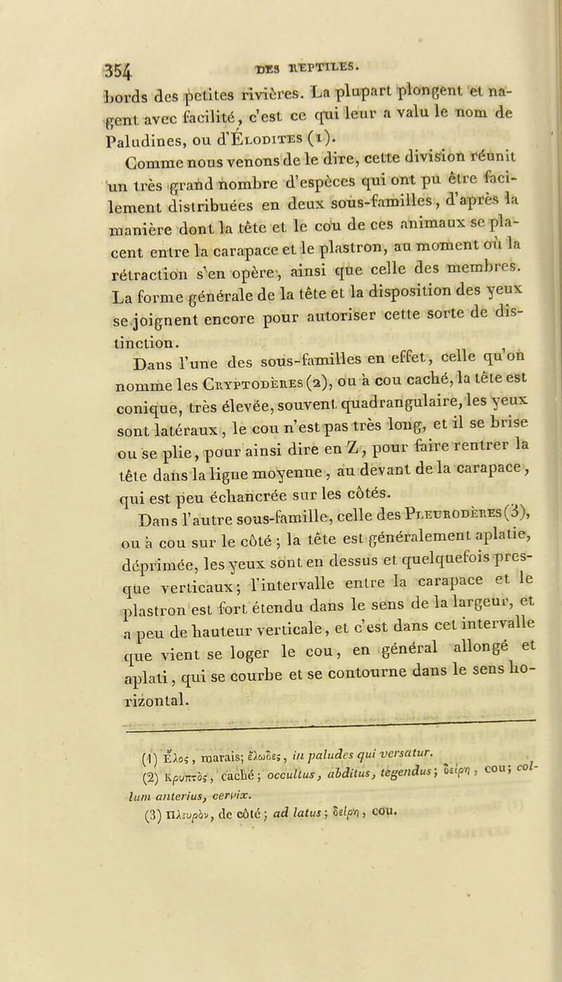 Lords des petites rivières. La plupart plongent et na- gent avec facilité, c'est ce cpii leur a valu le nom de Paludines, ou d'ÉLODiTES (1). Gomme nous venons de le dire, cette division réunit un très grand nombre d'espèces qui ont pu être faci- lement distribuées en deux sous-familles, d'après la manière dont la tète et le coli de ces animaux se pla- cent entre la carapace et le plastron, au moment où la rétraction s'en opère-, ainsi que celle des membres. La forme générale de la tête et la disposition des yeux se joignent encore pour autoriser cette sorte de dis- tinction. ? Dans l'une des sous-familles en effet, celle qu on nomme les O.yptodères (2), ou a cou cacbé, la tête est conique, très élevée, souvent quadrangulaire, les yeux sont latéraux , le cou n'est pas très long, et il se brise ou se plie, pour ainsi dire en Z, pour faire rentrer la tête dans la ligue moyenne, au devant de la carapace, qui est peu éebancrée sur les côtés. Dans l'autre sous-famille, celle des Pleurodères(3), ou à cou sur le côté -, la tête est généralement aplatie, déprimée, les yeux sont en dessus et quelquefois pres- que verticaux; l'intervalle entre la carapace et le plastron est fort étendu dans le sens de la largeur, et a peu de bauteur verticale, et c'est dans cet intervalle que vient se loger le cou, en général allongé et aplati, qui se courbe et se contourne dans le sens ho- rizontal. (1) ÉAos , marais; ë^Se;, in paludes qui versatur. (2) iphabfi caché; occultas, abditus, tegendus; Utffi , cou; co - lum anterius, cervix. (3) TlXivpbv, de côté ; ad latus ; Se^vj, cou.