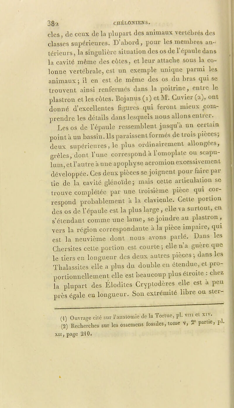 clcs, de ceux de la plupart des animaux vertébrés des classes supérieures. D'abord, pour les membres an- térieurs , la singulière situation des os de l'épaule dans la cavité même des côtes, et leur attacbe sous la co- lonne vertébrale, est un exemple unique parmi les animaux ; il en est de même des os du bras qui se trouvent ainsi renfermés dans la poitrine, entre le plastron et les côtes. Bojanus ( 1 ) et M. Cuvier (2), ont donné d'excellentes figures qui feront mieux com- prendre les détails dans lesquels nous allons entrer. Les os de l'épaule ressemblent jusqu'à un certain point a un bassin. Ils paraissent formés de trois pièces; deux supérieures, le plus ordinairement allongées, grêles, dont l'une correspond a l'omoplate ou scapu- lum, et l'autre a une apopbyse acromion excessivement développée. Ces deux pièces se joignent pour faire par lie de la cavité glénoïde; mais cette articulation se trouve complétée par une troisième pièce qui cor- respond probablement à la clavicule. Cette porLion des os de l'épaule est la plus large, elle va surtout, en s'étendant comme une lame, se joindre au plastron , vers la région correspondante à la pièce impaire, qui est la neuvième dont, nous avons parlé. Dans les Chersites cette portion est courte-, elle n'a guère que le tiers en longueur des deux autres pièces -, dans les Tbalassites elle a plus du double en étendue, et pro- portionnellement, elle est. beaucoup plus étroite : chez la plupart des Élodites Cryptodères elle est à peu près égale en longueur. Son extrémité libre ou ster- (1) Ouvrage cité sur l'aDatomie de la Tortue, pl. vin et xn . (2) Recherches sur les ossemens fossiles, tome v, 2e parue, pl. xa, page 210.