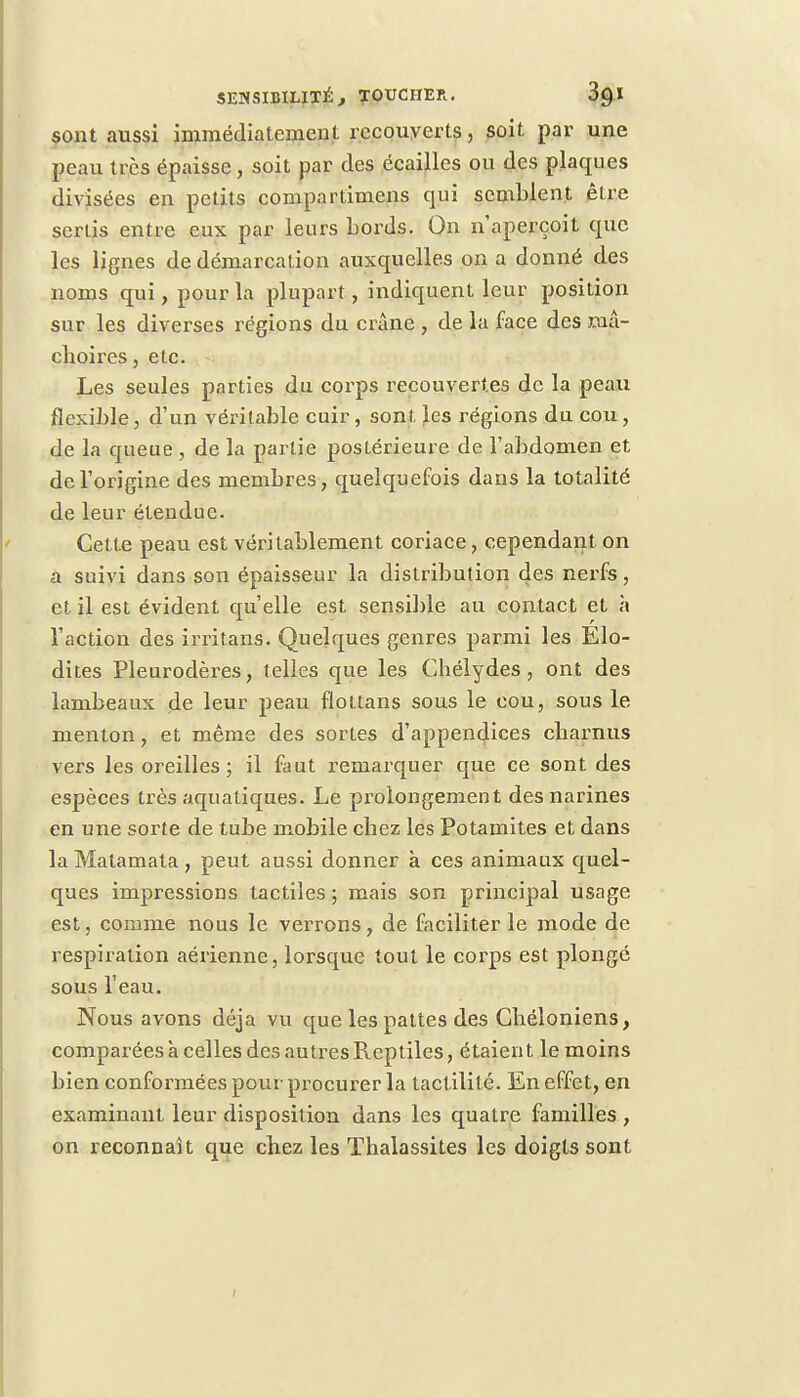 sont aussi immédiatement recouverts, soit par une peau très épaisse, soit par des écailles ou des plaques divisées en petits compartimens qui semblent être sertis entre eux par leurs bords. On n'aperçoit que les lignes de démarcation auxquelles on a donné des noms qui, pour la plupart, indiquent leur position sur les diverses régions du crâne , de la face des mâ- choires , etc. Les seules parties du corps recouvertes de la peau flexible, d'un véritable cuir, sont les régions du cou, de la queue , de la partie poslérieure de l'abdomen et de l'origine des membres, quelquefois dans la totalité de leur étendue. Cette peau est véritablement coriace, cependant on a suivi dans son épaisseur la distribution des nerfs, et il est évident qu'elle est sensible au contact et à l'action des irritans. Quelques genres parmi les Elo- dites Pleurodères, telles que les Chélydes, ont des lambeaux de leur peau fïottans sous le cou, sous le menton, et même des sortes d'appendices charnus vers les oreilles; il faut remarquer que ce sont des espèces très aquatiques. Le prolongement des narines en une sorte de tube mobile chez les Potamites et dans la Matamata, peut aussi donner à ces animaux quel- ques impressions tactiles ; mais son principal usage est, comme nous le verrons, de faciliter le mode de respiration aérienne, lorsque tout le corps est plongé sous l'eau. Nous avons déjà vu que les pattes des Ghéloniens, comparées à celles des autres Reptiles, étaient le moins bien conformées pour procurer la tactililé. En effet, en examinant leur disposition dans les quatre familles , on reconnaît que chez les Thalassites les doigts sont i