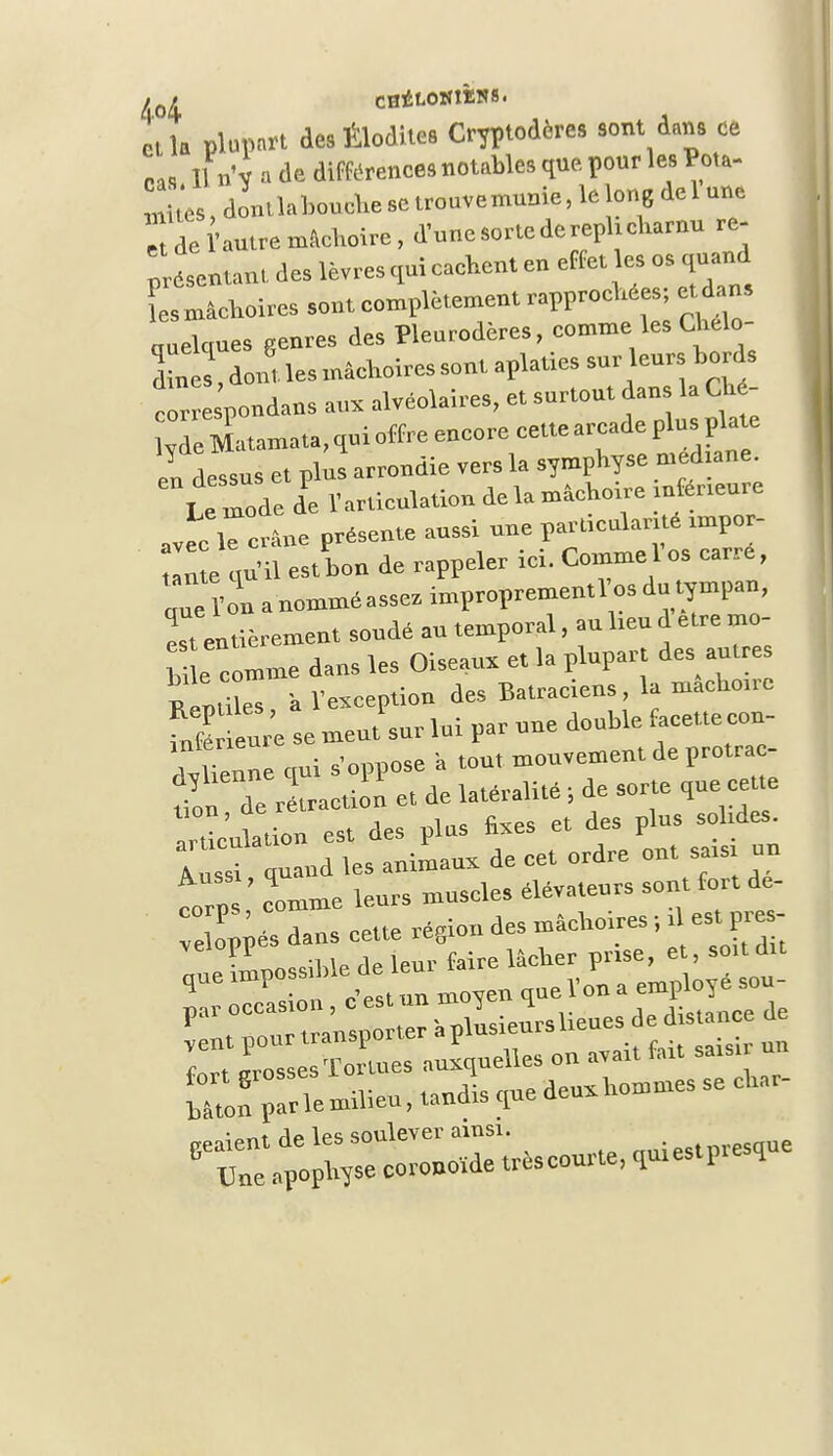 ci la plupart des Élodites Cryptodères sont dans ce cas 11 n'y . de différences notables que pour les Pot»- ™ t'es, dontlalmuchesetrouvemunie.lelong toi une t de Vautre mâchoire, d'unesortedercphcharnu re- ssentant des lèvres qui cachent en effet es os quand lesmâohokes sont complètement rapprochées; etdan. oulues genres des Pleurodères, comme les Chelo- dtaes, dont, les mâchoires sont aplaties sur eurs bords t spondans au, alvéolaires, et surtout dans a C é- l,dc Matamata, qui offre encore cette arcade plus plate en dessus et plus arrondie vers la symphyse med ane. Le mode de l'articulation de la mâchoire mfeneure «c le crâne présente aussi nue partmulanté rmpor- a e qu'il estbon de rappeler ici. Commel os carre,  'onanomméassraimproprementlosdo ympan, est entièrement sondé au temporal, au heu A être mo- K e comme dans les Oiseaux et la plupart des antres Renlto 'a Vexception des Batraciens, b macho.re fl eure se meut sur lui par une double facette con- dvUenne qui s'oppose à «ou, mouvement de protrac Z d rétraction et de latéralité ; de sorte que ce te ardculation est des plus fixes et des plus sohdes Aussi quand les animaux de cet ordre ont satsr un t/p comme leurs muscle, élévateurs sont fort de- „Pppés dans cette région des mâchoires ;. est e - . Possible de leur faire lâcher prise, et, smtdu