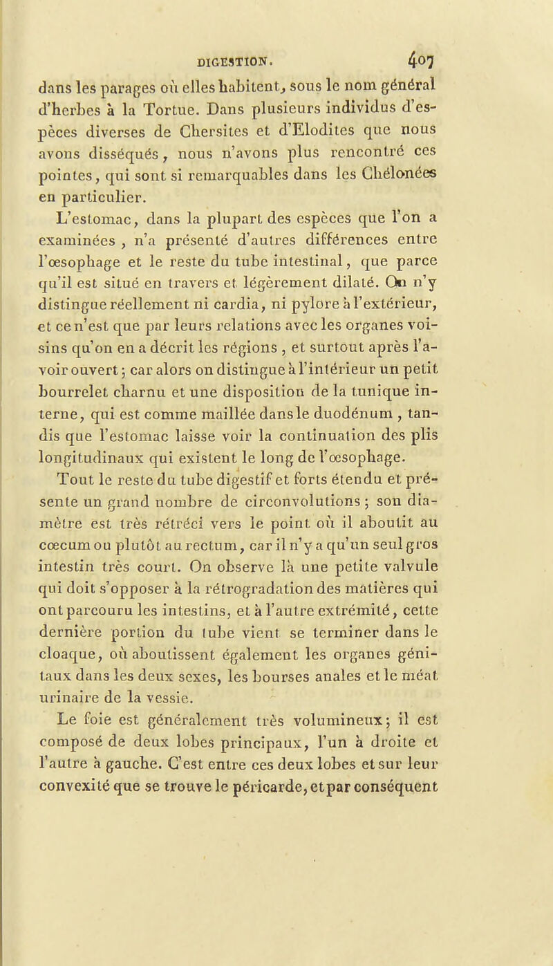 dans les parages où elles habitent, sous le nom général d'herbes à la Tortue. Dans plusieurs individus d'es- pèces diverses de Cliersites et d'Elodites que nous avons disséqués , nous n'avons plus rencontré ces pointes, qui sont si remarquables dans les Chélonées en particulier. L'estomac, dans la plupart des espèces que l'on a examinées , n'a présenté d'autres différences entre l'œsophage et le reste du tube intestinal, que parce qu'il est situé en travers et légèrement dilaté. On n'y distingue réellement ni cardia, ni pylore à l'extérieur, et ce n'est que par leurs relations avec les organes voi- sins qu'on en a décrit les régions , et surtout après l'a- voir ouvert ; car alors on distingue à l'intérieur un petit bourrelet charnu et une disposition de la tunique in- terne, qui est comme maillée dans le duodénum , tan- dis que l'estomac laisse voir la continuation des plis longitudinaux qui existent le long de l'œsophage. Tout le reste du tube digestif et forts étendu et pré- sente un grand nombre de circonvolutions ; son dia- mètre est très rétréci vers le point où il aboutit au cœcumou plutôt au rectum, car il n'y a qu'un seul gros intestin très court. On observe là une petite valvule qui doit s'opposer à la rétrogradation des matières qui ont parcouru les intestins, et à l'autre extrémité, cette dernière portion du lube vient se terminer dans le cloaque, où aboutissent également les organes géni- taux dans les deux sexes, les bourses anales et le méat urinaire de la vessie. Le foie est généralement très volumineux; il est composé de deux lobes principaux, l'un à droite et l'autre à gauche. C'est entre ces deux lobes et sur leur convexité que se trouve le péricarde, etpar conséquent