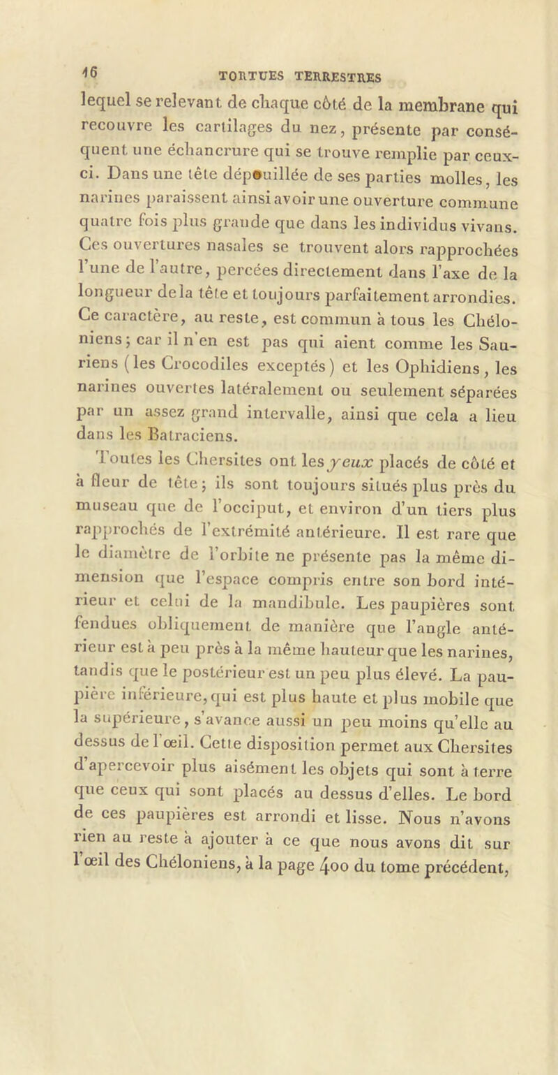 lequel se relevant de cliaque c6té de la membrane qui recouvre les cartilages du nez, présente par consé- quent une échancrure qui se trouve remplie par ceux- ci. Dans une tête dépouillée de ses parties molles, les narines paraissent ainsi avoir une ouverture commune quatre fois jilus gi’ande que dans les individus vivans. Ces ouvertures nasales se trouvent alors rapprochées l’une de l’autre, percées directement dans l’axe de la longueur delà tête et toujours parfaitement arrondies. Ce caractère, au reste, est commun à tous les Chélo- niens ; car il n en est pas qui aient comme les Sau- riens (les Crocodiles exceptés) et les Ophidiens, les nan'nes ouvertes latéralement ou seidement séparées par un assez grand intervalle, ainsi que cela a lieu dans les Batraciens. Toutes les Chersites ont les jeux placés de côté et à fleur de tête; ils .sont toujours situés plus près du museau que de l’occiput, et environ d’un tiers plus rappi’ochés de l’extrémité antérieure. Il est rare que le diamètre de l’orbite ne présente pas la même di- mension que l’espace compris entre son bord inté- rieur et celui de la mandibule. Les paupières sont fendues obliquement de manière que l’angle anté- rieur est à peu près à la même hauteur que les narines, tandis que le postérieur est un peu plus élevé. La pau- pière inférieure, qui est plus haute et plus mobile que la supérieure, s’avance aussi un peu moins quelle au dessus de l’œil. Cette disposition permet aux Chersites d apercevoir plus aisément les objets qui sont à terre que ceux qui sont placés au dessus d’elles. Le bord de ces paupières est arrondi et lisse. Nous n’avons l’ien au reste à ajouter à ce que nous avons dit sur