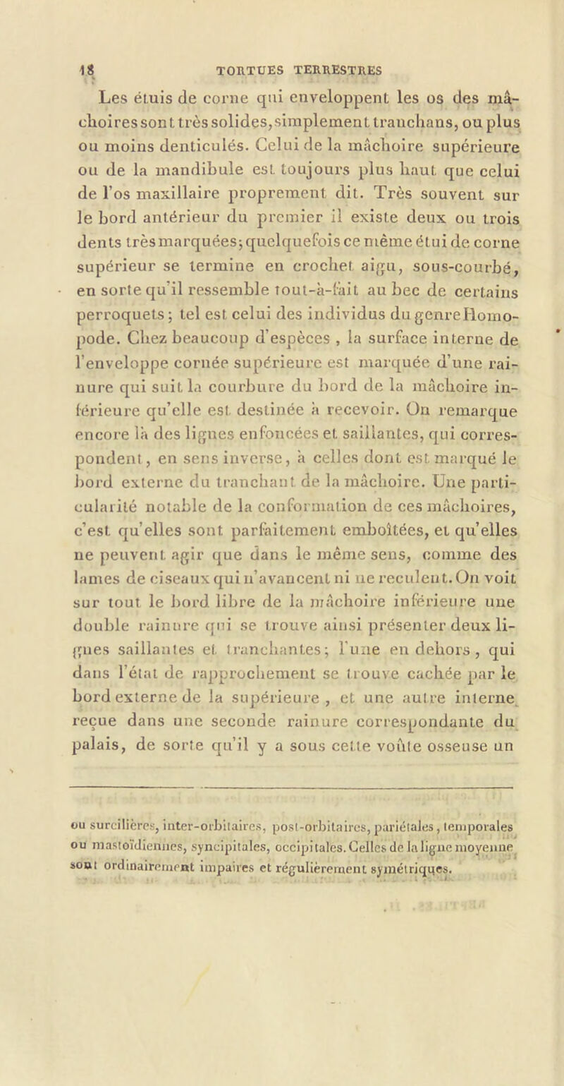 Les étuis de corne qui enveloppent les os des mâ- choires sont très solides,simplement tranchans, ou plus ou moins denticulés. Celui de la mâchoire supérieure ou de la mandibule est toujours plus haut que celui de l’os maxillaire proprement dit. Très souvent sur le bord antérieur du premier il existe deux ou trois dents trèsmarquées^quelquefois ce même étui de corne supérieur se termine en crochet ai}ru, sons-courhé, en sorte qu’il ressemble îout-k-lâit au bec de certains perroquets ; tel est celui des individus du genreHomo- pode. Chez beaucoup d’espèces , la surface interne de l’enveloppe cornée supérieure est marquée, d’une rai- nure qui suit la courbure du bord de la mâchoire in- (érieure qu’elle est destinée à recevoir. On remarque encore là des lignes enfoncées et saillantes, qui corres- pondent , en sens inverse, à celles dont est marqué le J)ord externe du tranchant de la mâchoire. Une parti- cularité notable de la conformation de ces mâchoires, c’est qu’elles sont parfaitement emboîtées, et qu’elles ne peuvent agir que dans le même sens, comme des lames de ciseaux qui n’avancent ni ne reculent. On voit sur tout le bord libre de la niâchoii’e inférieure uue double rainure qui se trouve ainsi présenter deux li- jpies saillantes et tranchantes; l'une en dehors, qui dans l’état de rapprochement se trouve cachée par le bord externe de la supérieure, et une autre interne^ reçue dans une seconde rainure correspondante du palais, de sorte qu’il y a sous cette voûte osseuse un ou surcilières, inter-orbitaires, posl-orbilaires, pariétales, temporales ou mastoïdiennes, syneipitales, occipitales.Celles de lali^iie moyenne^ sont ordinairement impaires et régulièrement syinétriqcjes.
