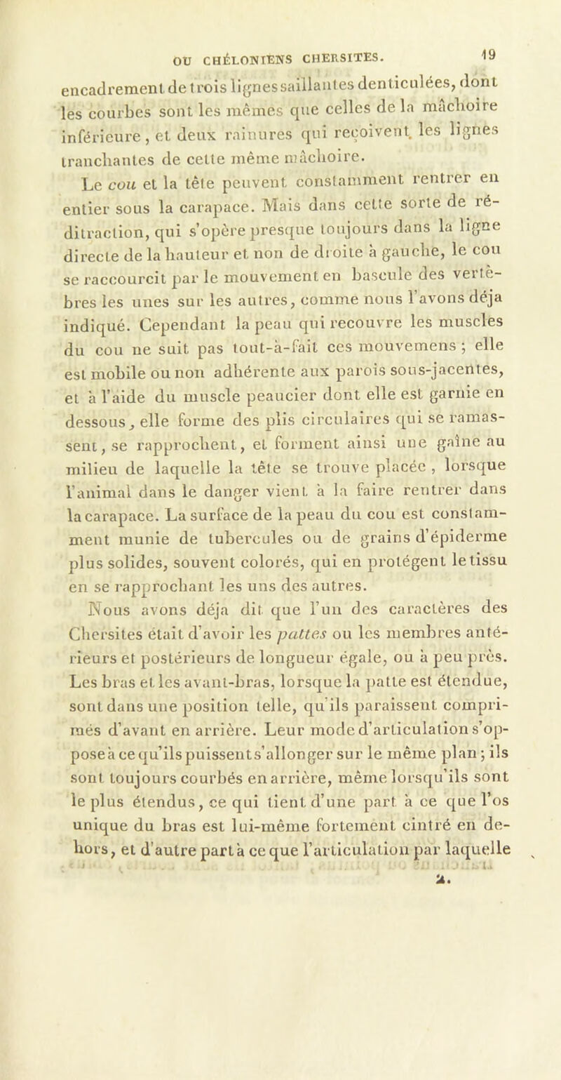 encadrement de t rois lignes saillantes den ticulées, dont les courbes sont les mêmes que celles de la mâchoire inférieure, et deux rainures qui reçoivent, les lignes iraucliaules de cette même luàclioire. Le cou et la tête peuvent constamment rentrer eu entier sous la carajiace. Mais dans cette sorte de ré- ditraction, qui s’opère pres(£ue toujours dans la ligne directe de la hauteur et non de droite à gauche, le cou se x'accourcit par le mouvement eu bascule des veitè- bres les unes sur les autres, comme nous l’avons déjà indiqué. Cependant la peau qui recouvre les muscles du cou ne suit pas tout-à-fait ces mouvemens ; elle est mobile ou non adhérente aux parois sous-jacentes, et à l’aide du muscle peaucier dont elle est garnie en dessous^ elle forme des plis circulaires qui se ramas- sent, se rapprochent, et forment ainsi une gaine au milieu de laquelle la tête se trouve placée , lorsque l’animal dans le danger vient a la faire rentrer dans la carapace. La surface de la peau du cou est constam- ment munie de tubercules on de grains d’épiderme plus solides, souvent colorés, qui en protègent le tissu en se rapprochant les uns des autres. Nous avons déjà dit que l’un des caractères des Chersites était d’avoir les pattes ou les membres anté- rieurs et postérieurs de longueur égale, ou à peu près. Les bras et les avant-bras, lorsque la j)atte est étendue, sont dans une position telle, qu’ils paraissent compri- més d’avant en arrière. Leur mode d’articulation s’op- poseàcequ’ilspuissents’allonger sur le même plan;ils sont toujours courbés en arrière, même lorsqu’ils sont le plus étendus, ce qui tient d’une part à ce que l’os unique du bras est lui-même fortement cintré en de- hors, et d’autre parta ce que l’articulation par laquelle ’A.