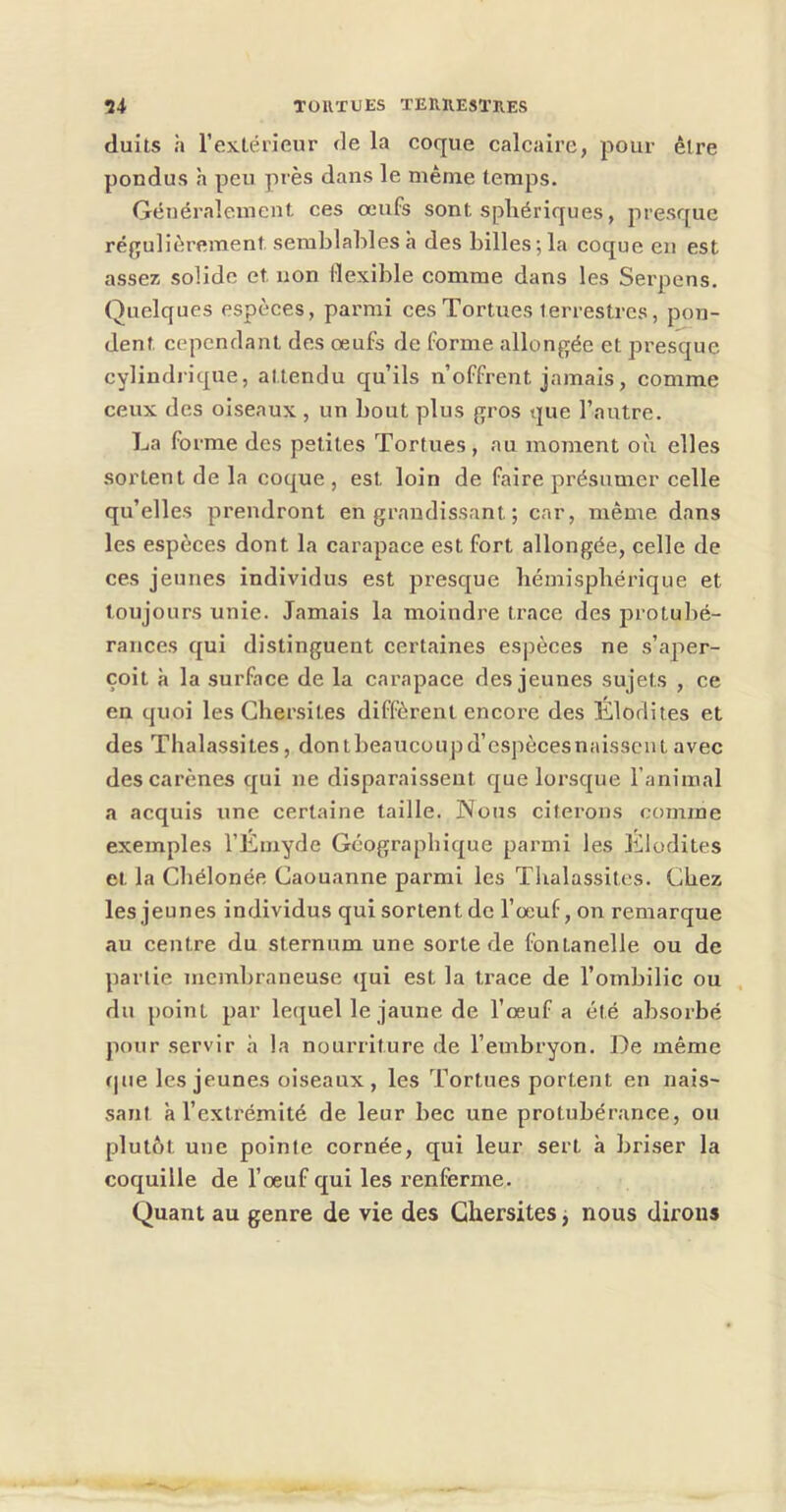 TOHTUES TEIUIESÏHES U duits h l’exlérieur de la coque calcaire, pour êlre pondus h peu près dans le niênae temps. Généralement ces œufs sont sphériques, presque réffulièrement semblables à des billes; la coque en est assez solide et non Hexible comme dans les Serpens. Quelques espèces, parmi ces Tortues terrestres, pon- dent cependant des œufs de forme allongée et presque cylindrique, attendu qu’ils n’offrent jamais, comme ceux des oiseaux , un bout plus gros que l’autre. La forme des petites Tortues , au moment où elles sortent de la coque , est loin de faire présumer celle qu’elles prendront en grandissant ; car, même dans les espèces dont la carapace est fort allongée, celle de ces jeunes individus est presque hémisphérique et toujours unie. Jamais la moindre trace des protubé- rances qui distinguent certaines espèces ne s’aper- çoit à la surface de la carapace des jeunes sujets , ce en quoi les Gbersites diffèrent encore des Élodites et des Tbalassites, dontbeaucoupd’espècesnaissent avec des carènes qui ne disparaissent que lorsque l’animal a acquis une certaine taille. Nous citerons comme exemples l’Emyde Géographique parmi les Elodites et la Chélonée Caouanne parmi les Tbalassites. Chez les jeunes individus qui sortent de l’œuf, on remarque au centre du sternum une sorte de fontanelle ou de partie membraneuse qui est la trace de l’ombilic ou du point par lequel le jaune de l’œuf a été absorbé pour servir à la nourriture de l’etnbryon. De même fjue les jeunes oiseaux , les Tortues portent en nais- sant à l’extrémité de leur bec une protubérance, ou plutôt une pointe cornée, qui leur sert à briser la coquille de l’œuf qui les renferme. Quant au genre de vie des Gbersites, nous dirons