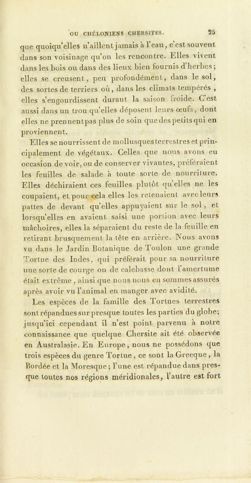 que quoiqu’elles n’aillent jamais à l’eau, c’est souvent dans son voisinage qu’on les rencontre. Elles vivent dans les bols ou dans des lieux bien fournis d’herbes; elles se creusent, peu profondément, dans le sol, des sortes de terriers où, dans les climats tempérés , elles s’engourdissent durant la saison froide. G est aussi dans un li'ou qu’elles déposent leurs œufs, dont elles ne prennentpas plus de soin quedesj)etltsqui en proviennent. Elles se nourrissent de mollusquesterrestres et prin- cipalement de végétaux. Celles que nous avons eu occasion de voir, ou de conserver vivantes, préféraient les feuilles de salade à toute sorte de nourriture. Elles déchiraient ces feuilles plutôt qu’elles ne les coupaient, et pour cela elles les retenaient avec leurs pattes de devant qu’elles appuyaient sur le sol , et lorsqu’elles en avaient saisi une portion avec leurs mâchoires, elles la séparaient du reste de la feuille en retirant brusquement la tête en arrière. Nous avons vu dans le Jardin Botanique de Toulon une grande Tortue des Indes, qui préférait pour sa nourriture une sorte de courge ou de calebasse dont l’amertume était extrême , ainsi que nous nous en sommes assui’és après avoir vu l’animal en manger avec avidité. Les espèces de la famille des Tortues terrestres sont répandues sur presque toutes les parties du globe; jusqu’ici cependant il n’est point parvenu à notre connaissance que quelque Chersite ait été observée en Australasie. En Europe, nous ne possédons que trois espèces du genre Tortue , ce sont la Grecque , la Bordée et la Moresque ; l’une est répandue dans pres- que toutes nos régions méridionales, l’autre est fort