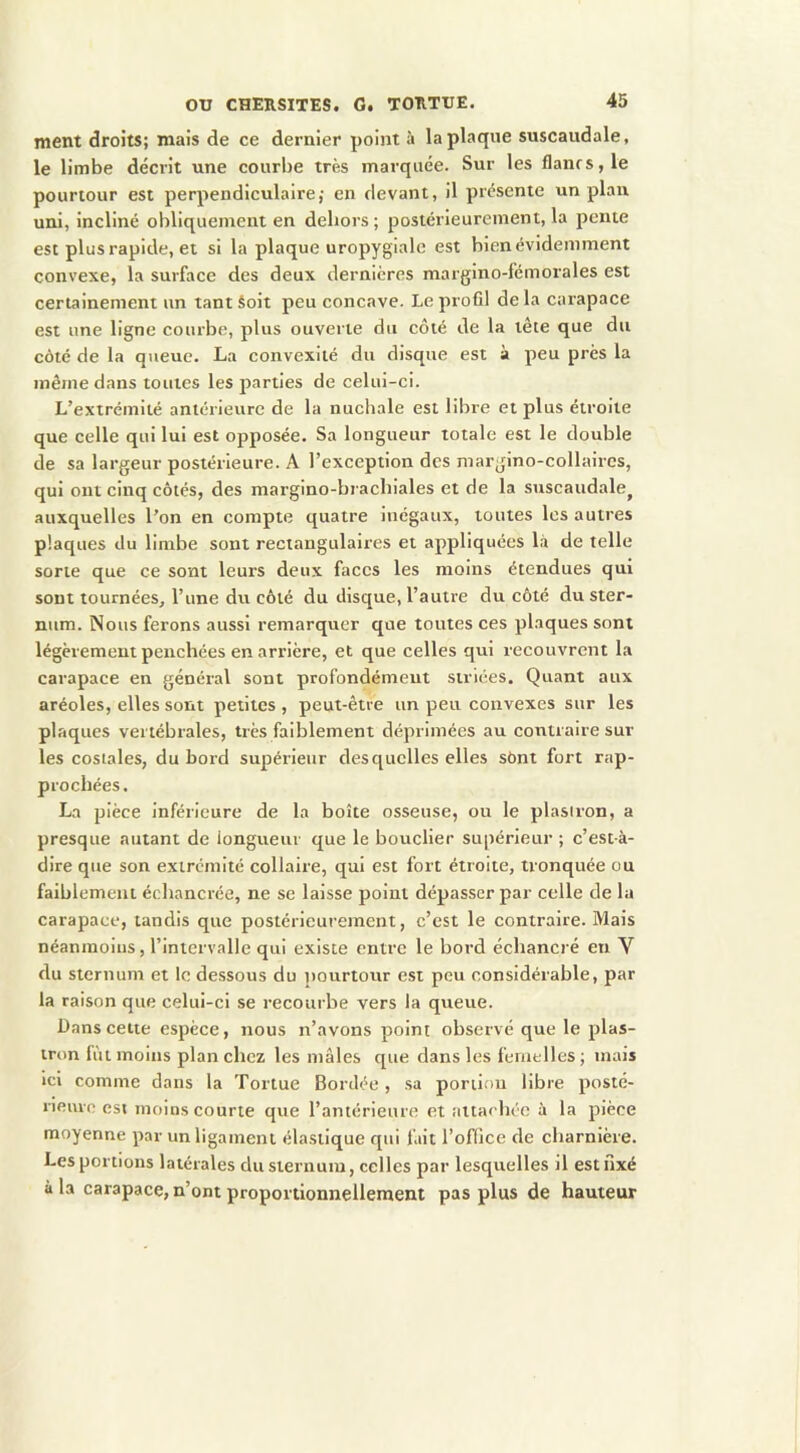 ment droits; mais de ce dernier point à la plaque suscaudale, le limbe décrit une courbe très marquée. Sur les flancs, le pourtour est perpendiculaire; en devant, il présente un plan uni, incliné obliquement en dehors ; postérieurement, la pente est plus rapide, et si la plaque uropygiale est bien évidemment convexe, la surface des deux dernières margino-fémorales est certainement un tant Soit peu eoncave. Le profil de la carapaee est une ligne courbe, plus ouverte du côté de la tête que du côté de la queue. La convexité du disque est à peu près la même dans toutes les parties de celui-ci. L’extrémité antérieure de la nuchale est libre et plus étroite que celle qui lui est opposée. Sa longueur totale est le double de sa largeur postérieure. A l’exception des margino-collaircs, qui ont cinq côtés, des margino-brachiales et de la suscaudale^ auxquelles l’on en compte quatre inégaux, toutes les autres plaques du limbe sont rectangulaires et appliquées là de telle sorte que ce sont leurs deux faces les moins étendues qui sont tournées, l’une du côté du disque, l’autre du côté du ster- num. Nous ferons aussi remarquer que toutes ces plaques sont légèrement penchées en arrière, et que celles qui recouvrent la carapace en général sont profondémeut striées. Quant aux aréoles, elles sont petites , peut-être un peu convexes sur les plaques vertébrales, très faiblement déprimées au contraire sur les costales, du bord supérieur desquelles elles sOnt fort rap- prochées. La pièce inférieure de la boîte osseuse, ou le plastron, a presque autant de longueur que le bouclier supérieur ; c’est-à- dire que son extrémité collaire, qui est fort étroite, tronquée ou faiblement échancrée, ne se laisse point dépasser par celle de la carapaee, tandis que postérieurement, c’est le contraire. Mais néanmoins, l’intervalle qui existe entre le bord échancré en V du sternum et le dessous du nourtour est peu considérable, par la raison que celui-ci se recourbe vers la queue. Dans cette espèce, nous n’avons point observé que le plas- tron fût moins planchez les mâles que dans les femelles; mais ici comme dans la Tortue Bordée , sa portion libre posté- rieure est moins courte que l’antérieure et attaehéc à la pièce moyenne par un ligament élastique qui fait l’office de charnière. Les portions latérales du sternum, celles par lesquelles il est fixé à la carapace, n’ont proportionnellement pas plus de hauteur