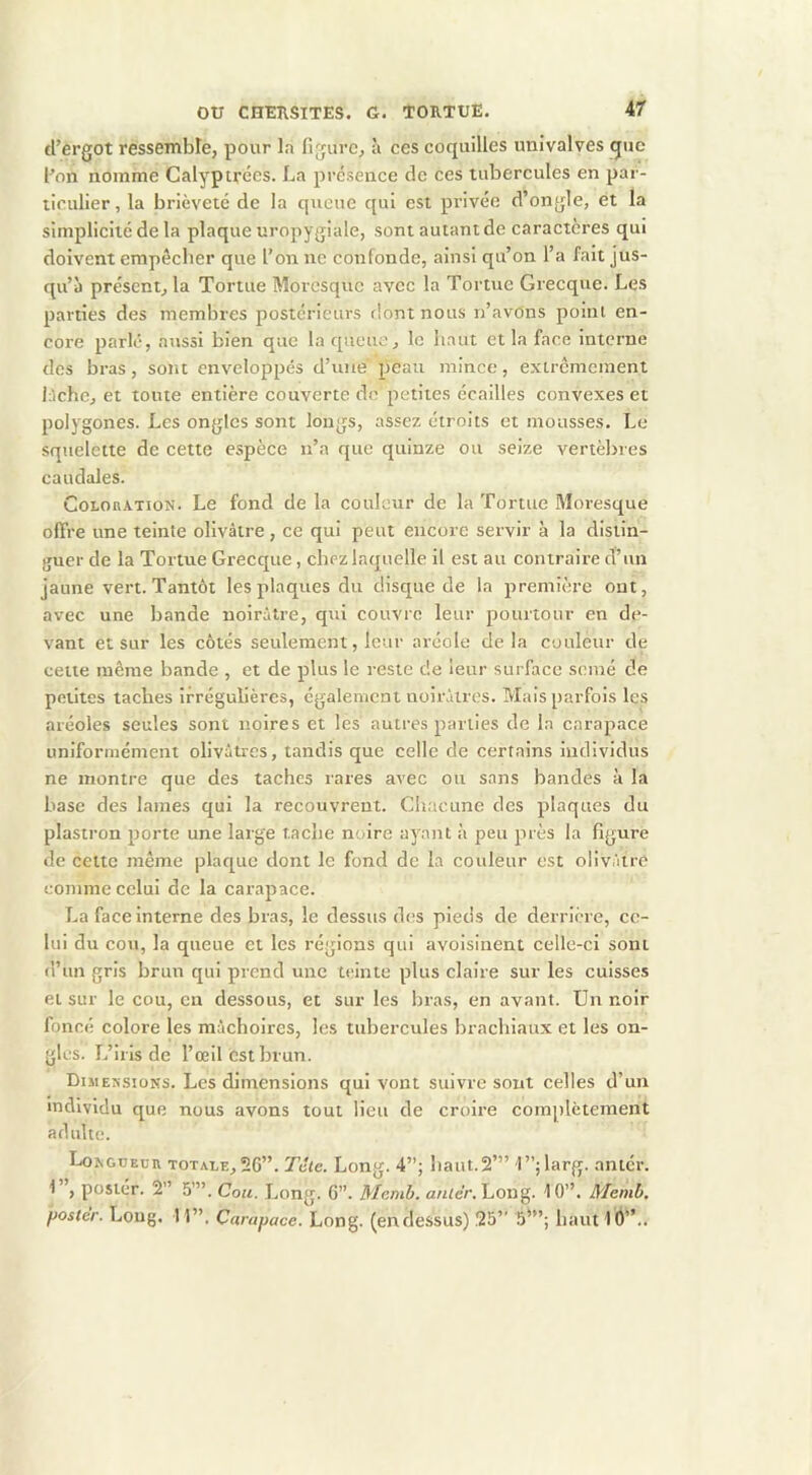 d’ergot ressemble, pour la figure, à ces coquilles imivalves que l’on nomme Calyptrécs. La présence de ces tubercules en par- ticulier , la brièveté de la queue qui est privée d’ongle, et la simplicité de la plaque uropygiale, sont autant de caractères qui doivent empêcher que l’on ne confonde, ainsi qu’on l’a fait jus- qu’à présent, la Tortue Moresque avec la Tortue Grecque. Les parties des membres postérieurs riontnous n’avûns point en- core parlé, aussi bien que la queue, le haut et la face interne des bras, sont enveloppés d’une peau mince, extrêmement iJchc, et toute entière couverte de petites écailles convexes et polygones. Les ongles sont longs, assez étroits et mousses. Le squelette de cette espèce n’a que quinze ou seize vertèbres caudales. CoLOBATioN. Le fond de la couleur de la Tortue Moresque offre une teinte olivâtre , ce qui peut encore servir à la distin- guer de la Tortue Grecque, chez laquelle il est au contraire d’un jaune vert. Tantôt les plaques du disque de la première ont, avec une bande noirâtre, qui couvre leur pourtour en de- vant et sur les côtés seulement, leur aréole delà couleur de celte même bande , et de plus le reste de leur surface semé de petites taches irrégulières, également noirâtres. Mais parfois les aréoles seules sont noires et les autres parties de la carapace uniformément olivâtres, tandis que celle de certains individus ne montre que des taches rares avec ou sans bandes à la base des lames qui la recouvrent. Cli.icune des plaques du plastron porte une large tache noire ay^ant à peu près la figure de celte même plaque dont le fond de la couleur est olivâtre comme celui de la carapace. La face interne des bras, le dessus des pieds de derrière, ce- lui du cou, la queue et les régions qui avoisinent celle-ci sont d’un gris brun qui prend une teinte plus claire sur les cuisses et sur le cou, en dessous, et sur les bras, en avant. Un noir foncé colore les mâchoires, les tubercules brachiaux et les on- gles. L’iris de l’œil est brun. Dimessioks. Les dimensions qui vont suivre sont celles d’un individu que nous avons tout lieu de croire complètement adulte. LoxGüEun totale,56”. Tdte. Long. 4”; haut.S’” T’ilarg. antér. 1”, posiér. 5” 5”’. Cou. Long. G”. Mcnih. a/iter. Long. 10”. Memb, poster. Long. 11”, Carapace. Long, (en dessus) 55” 5”’; haut 10”..