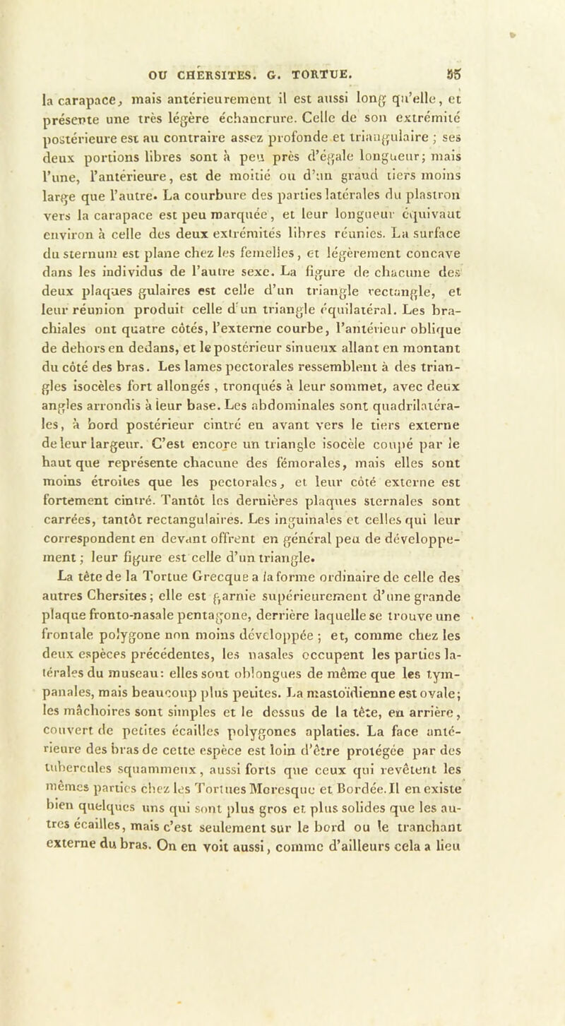 la carapace, mais antérieurement il est aussi long qu’elle, et présente une très légère éc.hancrure. Celle de son extrémité postérieure est au contraire assez profonde et triangulaire ; ses deux portions libres sont à peu près d’égale longueur ; mais l’une, l’antérieure, est de moitié ou d’un graud tiers moins large que l’autre. La courbure des parties latérales du plastron vers la carapace est peu marquée, et leur longueur équivaut environ à celle des deux extrémités libres réunies. La surface du sternum est plane chez les femelles, et légèrement concave dans les individus de l’autre sexe. La figure de chacune de.ï deux plaques gulaires est celle d’un triangle rectangle, et leur réunion produit celle d’un triangle équilatéral. Les bra- chiales ont quatre côtés, l’externe courbe, l’antérieur oblique de dehors en dedans, et le postérieur sinueux allant en montant du côté des bras. Les lames pectorales ressemblent à des trian- gles Isocèles fort allongés , tronqués à leur sommet, avec deux angles arrondis à leur base. Les abdominales sont quadrilatéra- les, à bord postérieur cintré en avant vers le tiers externe de leur largeur. C’est encore un triangle isocèle coupé par le haut que représente chacune des fémorales, mais elles sont moins étroites que les pectorales, et leur côté externe est fortement cintré. Tantôt les dernières plaques sternales sont carrées, tantôt rectangulaires. Les inguinales et celles qui leur correspondent en devant offrent en général peu de développe- ment; leur figure est celle d’un triangle. La tète de la Tortue Grecque a ia forme ordinaire de celle des autres Chersites; elle est garnie supérieurement d’une grande plaque fronto-nasale pentagone, derrière laquelle se trouve une frontale polygone non moins développée ; et, comme chez les deux espèces précédentes, le.s nasales occupent les parties la- térales du museau; elles sont oblongues de même que les tym- panales, mais beaucoup plus petites. La mastoïdienne est ovale; les mâchoires sont simples et le dessus de la tête, en arrière, couvert de petites écailles polygones aplaties. La face anté- rieure des bras de cette espèce est loin d’êîre protégée par des tubercules squammciix, aussi forts que ceux qui revêtent les memes parties chez les Tortues Moresque et Bordée. Il en existe bien quelques uns qui sont plus gros et, plus solides que les au- tres écaillés, mais c’est seulement sur le bord ou le tranchant externe du bras. On en voit aussi, comme d’ailleurs cela a lieu