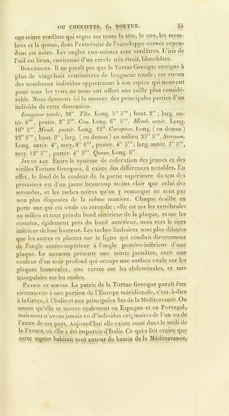 une teinte verdâtre qui règne sur toute la tête, le cou, les mem- bres et la queue, dont l’extrémité de l’eaveloppe cornée cepen- dant est noire. Les ongles eux-mêmes sont verdâtres. L’iris de l’œil est brun, environné d’un cercle très étroit, blanchâtre. Dimensions. 11 ne paraît pas que la Tortue Grecque atteigne à plus de ^^ngt-huit centimètres de longueur totale ; car aucun des nombreux individus appartenant à son espèce qui nous ont passé sous les yeux ne nous ont offert une taille plus considé- rable. Nous donnons ici la mesure des principales parties d’un individu de cette dimension. Longueur totale, 28”. Tête. Long. 5” 5’” j haut. 2” ; larg. an- lér. 6’”, postér. 2” 5’”. Cou. Long. 6” 5’”. Memb. antèr. Long. 40” ^’. Memb. postér. Long. 12”. Gam/iace. Long. ( en dessus ) 22” 5’” ; haut. 9” ; larg. ( en dessus ) au milieu 23” 5’”. Sternum. Long, an ter. 4”, moy. 8” 6’”, postér. 4” 5’” ; larg. antér. 3” 3”’, moy. 12” 5’”, postér. 4” 2’”. Ç«e«e. Long. 6”. Jeune Age. Entre le système de coloration des jeunes et des vieilles Tortues Grecques, il existe des différences notables. En effet, le fond de la couleur de la partie supérieure du test des premières est d’un jaune beaucoup moins clair que celui des secondes, et les taches noires qu’on y remarque ne sont pas non plus disposées de la même manière. Chaque écaille en porte une qui est ovale ou arrondie : elle est sur les vertébrales au milieu et tout près du bord antérieur de la plaque, et sur les costales, également près du bord antérieur, mais vers le tiers inférieur de leur hauteur. Les taches llmbalres sont plus dilatées que les autres et placées sur la ligne qui conduit directement de l’angle antéro-supérieur à l’angle postéro-inférieur d’une plaque. Le sternum présente une teinte jaunâtre, avec une couleur d’un noir profond qui occupe une surface ovale sur les plaques humérales, une carrée sur les abdominales, et ime triangulaire sur les anales. Patrie et moeurs. La patrie de la Tortue Grecque paraît etre circonscrite à une portion de l’Europe méridionale, c’est-a-dire à la Grèce, à l’Italie et aux principales îles de la Méditerranée. On assure qu’elle se trouve également en Espagne et en Portugal, maisnous n’avons jamais vu d’individus originaires de l’un ou de l’autre de ces pays. Aujourd’hui elle existe aussi dans le midi de la France, oîi elle a été importée d’Italie. Ce quia fait croire que cette espèce habitait tout autour du bassin de la Mediterranée,