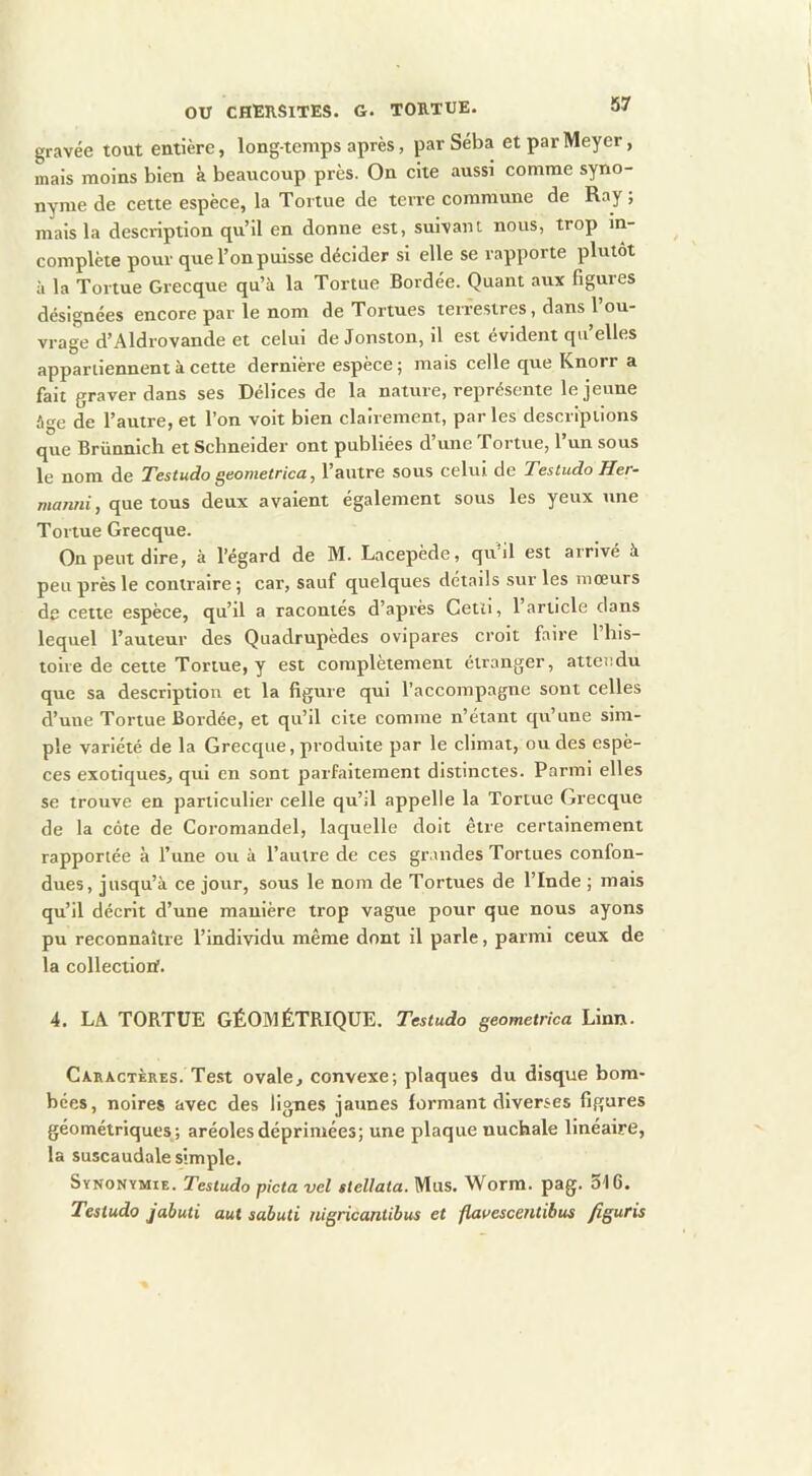 gravée tout entière, longtemps après, par Séba et par Meyer, mais moins bien à beaucoup près. On cite aussi comme syno- nyme de cette espèce, la Tortue de terre commune de Ray; mais la description qu’il en donne est, suivant nous, trop in- complète pour que l’on puisse décider si elle se rapporte plutôt à la Tortue Grecque qu’à la Tortue Bordée. Quant aux figures désignées encore par le nom de Tortues terrestres, dans l’ou- vrage d’Aldrovande et celui de Jonston, il est évident qu’elles appartiennent à cette dernière espèce; mais celle que Knorr a fait graver dans ses Délices de la nature, représente le jeune âge de l’autre, et l’on voit bien clairement, par les descriptions que Brünnich et Schneider ont publiées d’une Tortue, l’un sous le nom de Testudo Qcoïnetricci^ l’autre sous celui de Testudo Her-- manni, que tous deux avaient également sous les yeux une Tortue Grecque. On peut dire, à l’égard de M. Lacepede, qu il est airive à peu près le contraire; car, sauf quelques détails sur les mœurs de cette espèce, qu’il a racontés d’après Getd, l’article dans lequel l’auteur des Quadrupèdes ovipares croit faire l’his- toire de cette Tortue, y est complètement étranger, attendu que sa description et la figure qui l’accompagne sont celles d’une Tortue Bordée, et qu’il cite comme n’étant qu’une sim- ple variété de la Grecque, produite par le climat, ou des espè- ces exotiques, qui en sont parfaitement distinctes. Parmi elles se trouve en particulier celle qu’il appelle la Tortue Grecque de la côte de Coromandel, laquelle doit être certainement rapportée à l’une ou à l’autre de ces gr.uides Tortues confon- dues, jusqu’à ce jour, sous le nom de Tortues de l’Inde ; mais qu’il décrit d’une manière trop vague pour que nous ayons pu reconnaître l’individu même dont il parle, parmi ceux de la collectiorf. 4. LA TORTUE GÉOMÉTRIQUE. Testudo geometrica Linn. Caractères. Test ovale, convexe; plaques du disque bom- bées, noires avec des lignes jaunes formant diverses figures géométriques,; aréoles déprimées; une plaque nuchale linéaire, la suscaudale simple. Synonymie. Testudo picta vel stellata. Mus. Worra. pag. 516. Testudo jabuti aut sabuti nigricantibus et fiauescentibus figuris