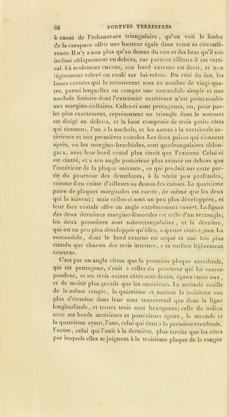à cause de l’échancrure triangulaire , qu’on voit le limbe de la carapace offrir une hauteur égale dans toute sa circonfé- rence. Il n’y a non plus qu’au dessus du cou et des bras qu’il soit incliné obliquement en dehors, car partout ailleurs il est verti- cal. Là seulement encore, son bord externe est droit, et non légèrement relevé ou roulé sur lui-même. Du côté du dos, les lames cornées qui le recouvrent sont au nombre de vingt-qua- tre, parmi lesquelles on compte une suscaudale simple et une nuchale linéaire dont l’extrémité antérieure n’est pointsoudée aux margino-collalres. Celles-ci sont pentagones, ou, pour par- ler plus exactement, représentent un triangle dont le sommet est dirigé en dehors, et la base composée de trois petits côtés qui tiennent, l’un à la nuchale, et les autres à la vertébrale an- térieure et aux premières costales. Les deux paires qui viennent après, ou les margino-brachiales, sont quadrangulaires oblon- gucs, avec leur bord costal plus étroit que l’externe. Celui-ci est cintré, et a son angle postérieur plus avancé en dehors que l’antérieur de la plaque suivante, ce qui produit sur cette par- tie du pourtour des dentelures, à la vérité peu profondes, comme il en existe d’ailleurs au dessus des cuisses. La quatrième paire de plaques marginales est carrée , de même que les deux qui la suivent ; mais celles-ci sont un peu plus développées, et leur face costale offre un angle extrêmement ouvert. La figure des deux dernières margino-fémorales est celle d’un rectangle; les deux piemières sont subrectangulaires , et la dernière, qui est un peu plus développée qu’elles, a quatre côtés égaux.La. suscaudale, dont le bord externe est arqué et une fois plus étendu que chacun des trois internes, a sa surface légèrement convexe. C est par un angle obtus que la première platjue vertébrale, qui est pentagone, s’unit à celles du pourtour qui lui corres- pondent, et ses trois autres côtés sont droits, égaux entre eux , et de moitié plus grands que les antérieurs. La seconde écaille de la même rangée, la quatrième et surtout la troisième ont plus d étendue dans leur sens transversal que dans la ligne longitudinale, et toutes trois sont hexagones; celle du milieu avec ses bords antérieurs et postérieurs égaux , la seconde et la quatrième ayant, l’une, celui qui tient à la première vertébrale, l’autre, celui qui l’unit à la dernière, plus étroits que les côtés par lesquels elles se joignent à la troisième plaque de la rangée