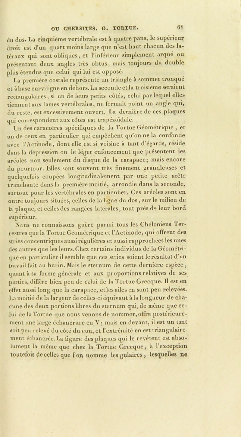 du dos. La cinquième vertébrale est à quatre pans, le supérieur droit est d’un quart moins large que n’est haut chacun des la- téraux qui sont obliques, et l’inférieur simplement arqué ou présentant deux angles très obtus, mais toujours du double plus étendus que celui qui lui est opposé. La première costale représente un triangle à sommet tronque et à base curviligne en dehors. La seconde et la troisième seraient rectangulaires, si un de leurs petits côtés, celui par lequel elles tiennent aux lames vertébrales, ne formait point un angle qui, du reste, est excessivement ouvert. La dernière de ces plaques qui correspondent aux côtes est trapézoïdale. Un des caractères spécifiques de la Tortue Géométrique , et un de ceux en particulier qui empêchent qu’on ne la confonde avec l’Actlnode, dont elle est si voisine à tant d’égards, réside dans la dépression ou le léger enfoncement que présentent les aréoles non seulement du disque de la carapace; mais encore du pourtour. Elles sont souvent très finement granuleuses et quelquefois coupées longitudinalement par une petite arête tranchante dans la première moitié, arrondie dans la seconde, surtout pour les vertébrales en particulier. Ces aréoles sont en outre toujours situées, celles de la ligne du dos, sur le milieu de la plaque, et celles des rangées latérales, tout près de leur bord supérieur. Nous ne connaissons guère parmi tous les Chélonlens Ter- restres que la Tortue Géométrique et l’Actinode, qui offrent des stries concentriques aussi régulières et aussi rapprochées les unes des autres que les leurs. Chez certains individus de la Géométri- que en particulier il semble que ces stries soient le résultat d’un travail fait au burin. Mais le sternum de cette dernière espèce, quant à sa forme générale et aux proportions relatives de ses parties, diffère bien peu de celui de la Tortue Grecque. Il est en effet aussi long que la carapace, et les ailes en sont peu relevées. La moitié de la largeur de celles-ci équivaut à la longueur de cha- cune des deux portions libres du sternum qui, de même que ce- lui de la Tortue que nous venons de nommer, offre postérieure- ment une large échancrure en V ; mais en devant, il est un tant soit peu relevé du côté du cou, et l’extrémité en est trlangulaire- ment échancrée. La figure des plaques qui le revêtent est abso- lument la même que chez la Tortue Grecque, à l’exception toutefois de celles que l’on nomme les gulaires , lesquelles ne