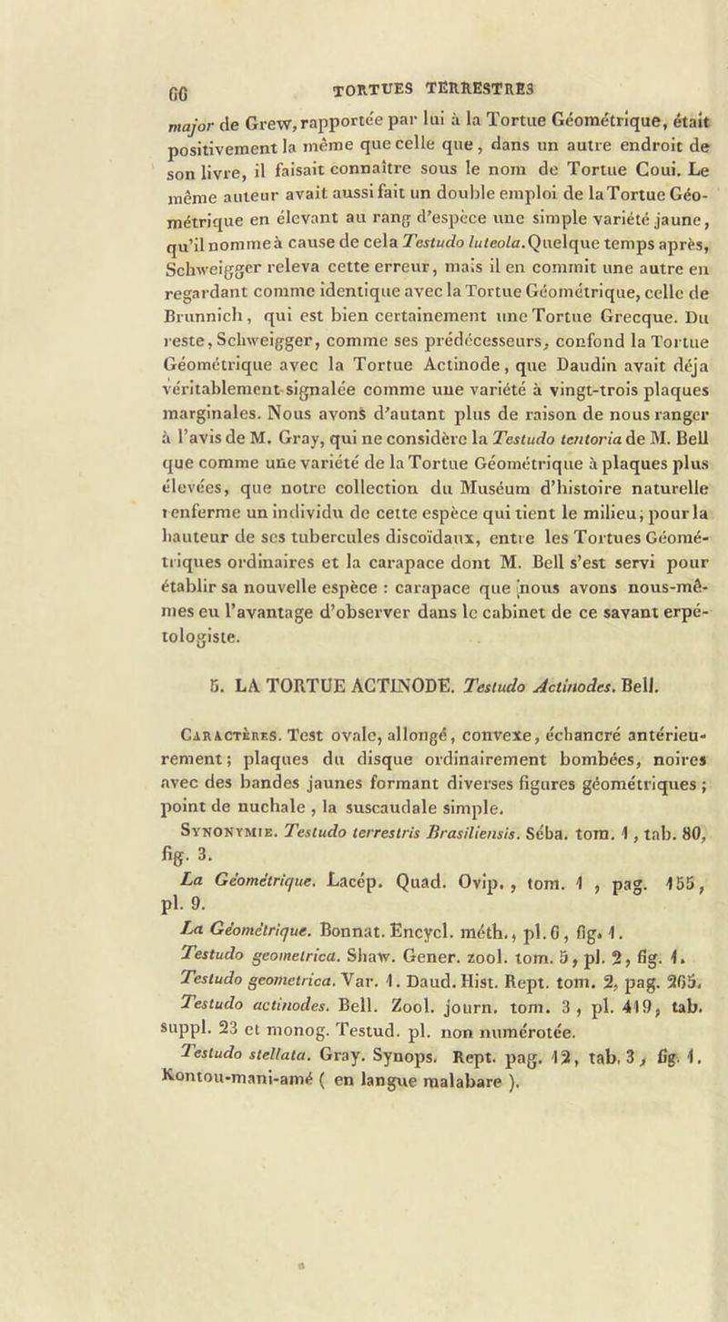 major de Grew,rapportée par lui à la Tortue Géométrique, était positivement la même que celle que, dans un autre endroit de son livre, il faisait connaître sous le nom de Tortue Coui. Le même auteur avait aussi fait un double emploi de laTortue Géo- métrique en élevant au rang d’espèce une simple variété jaune, qu’il nomme à cause de cela Testudo /«teo/a. Quelque temps après, Schweigger releva cette erreur, mais il en commit une autre en regardant comme identique avec la Tortue Géométrique, celle de Briinnich, qui est bien certainement une Tortue Grecque. Du reste, Schweigger, comme ses prédécesseurs, confond la Tortue Géométrique avec la Tortue Actinode, que Daudin avait déjà véritablement-signalée comme une variété à vingt-trois plaques marginales. Nous avons d’autant plus de raison de nous ranger à l’avis de M. Gray, qui ne considère la Testudo tentoria de M. Bell que comme une variété de laTortue Géométrique à plaques plu.s élevées, que notre collection du Muséum d’histoire naturelle renferme un individu de cette espèce qui tient le milieu; pour la hauteur de scs tubercules discoïdanx, entre les Tortues Géomé- triques ordinaires et la carapace dont M. Bell s’est servi pour établir sa nouvelle espèce : carapace que [nous avons nous-mê- mes eu l’avantage d’observer dans le cabinet de ce savant erpé- tologiste. G. LA TORTUE ACTINODE. Testudo Actinodes. Bell, Caractères. Test ovale, allongé, convexe, écliancré antérieu- rement; plaques du disque ordinairement bombées, noires avec des bandes jaunes formant diverses figures géométriques ; point de nuchale , la suscaudale simple. Synonymie. Testudo terrestris Brasiliensis. Séba. tora. 1, tab. 80, fig. 3. La Géométrique. Lacép. Quad. Ovip. , tom. 1 , pag. 155, pl. 9. La Géométrique. Bonnat. Encycl. méth., pl.G, fig. 1. Testudo geometrica. Shaw. Gener. zool. tom. 5, pl. 2, fig. 1. Testudo geometrica. Yav. 1. Daud. Hist. Rept. tom. 2, pag. 265, Testudo actinodes. Bell. Zool. journ. tom. 3, pl. 419, tab. Suppl. 23 et monog. Testud. pl. non numérotée. Testudo stellata. Gray. Synops, Rept. pag. 12, tab, 3 j fig. 1. Kontou-mani-amé ( en langue malabare ).