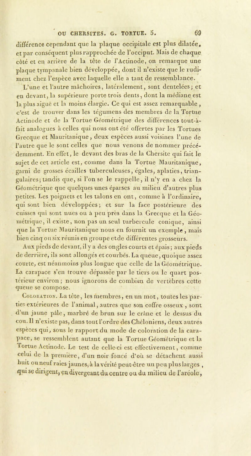 différence cependant que la plaque occipitale est plus dilatée, et par conséquent plus rapprochée de l’occiput. Mais de chaque côté et en arrière de la tête de l’Actinode, on remarque une plaque tympanale bien développée, dont il n’existe que le rudi- ment chez l’espèce avec laquelle elle a tant de ressemblance. L’une et l’autre mâchoires, latéralement, sont dentelées; et en devant, la supérieure porte trois dents, dont la médiane est la plus aiguë et la moins élargie. Ce qui est assez remarquable , c’est de trouver dans les tégumens des membres de la Tortue Actinode et de la Tortue Géométrique des différences tout-à- fait analogues à celles qui nous ont été offertes par les Tortues Grecque et Mauritanique, deux espèces aussi voisines l’une de l’autre que le sont celles que nous venons de nommer précé- demment. En effet, le devant des bras de la Chersite qui fait le sujet de cet article est, comme dans la Tortue Mauritanique, garni de grosses écailles tuberculeuses, égales, aplaties, trian- gulaires; tandis que, si l’on se le rappelle, il n’y en a chez la Géométrique que quelques unes éparses au milieu d’autres plus petites. Les poignets et les talons en ont, comme à l’ordinaire, qui sont bien développées ; et sur la face postérieure des cuisses qui sont nues ou à peu près dans la Grecque et la Géo- niétiiquc, il existe, non pas un seul turbercule conique, ainsi que la Tortue Blauritanique nous en fournit un exemple , mais bien cinq ou six réunis en groupe etde différentes grosseurs. Aux pieds de devant, il y a des ongles courts et épais ; aux pieds de derrière, ils sont allongés et courbés. La queue, quoique assez courte, est néanmoins plus longue que celle de la Géométrique. La carapace s’en trouve dépassè'e par le tiers ou le quart pos- térieur environ; nous ignorons de combien de vertèbres cette queue se compose. CoLonATiON. La tête, les membres, en un mot, toutes les par- ties extérieures de l’animal, autres que son coffre osseux , sont d’un jaune pâle, marbré de brun sur le crâne et le dessus du cou. Il n’existe pas, dans tout l’ordre des Chéloniens, deux autres espèces qui, sous le rapport du mode de coloration de la cara- pace, se ressemblent autant que la Tortue Géométrique et la Tortue Actinode. Le test de celle-ci est effectivement, comme celui de la première, d’un noir foncé d’où se détachent aussi huit ouneuf raies jaunes, à la vérité peut-être un peu plus larges , qm se dirigent, en divergeant du centre ou du milieu de l’aréole,